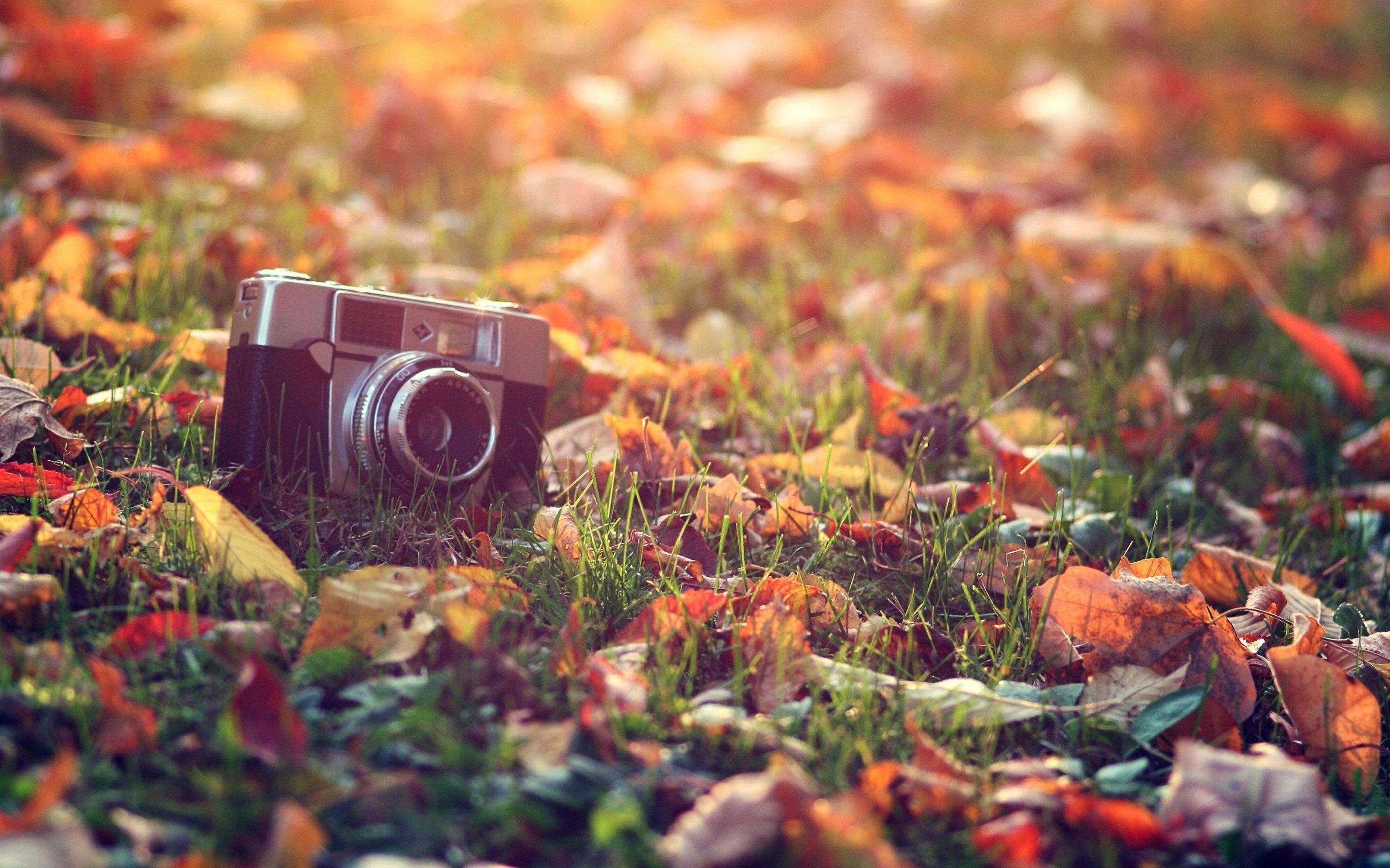 Vintage Fall Desktop Wallpapers Top Free Vintage Fall Desktop