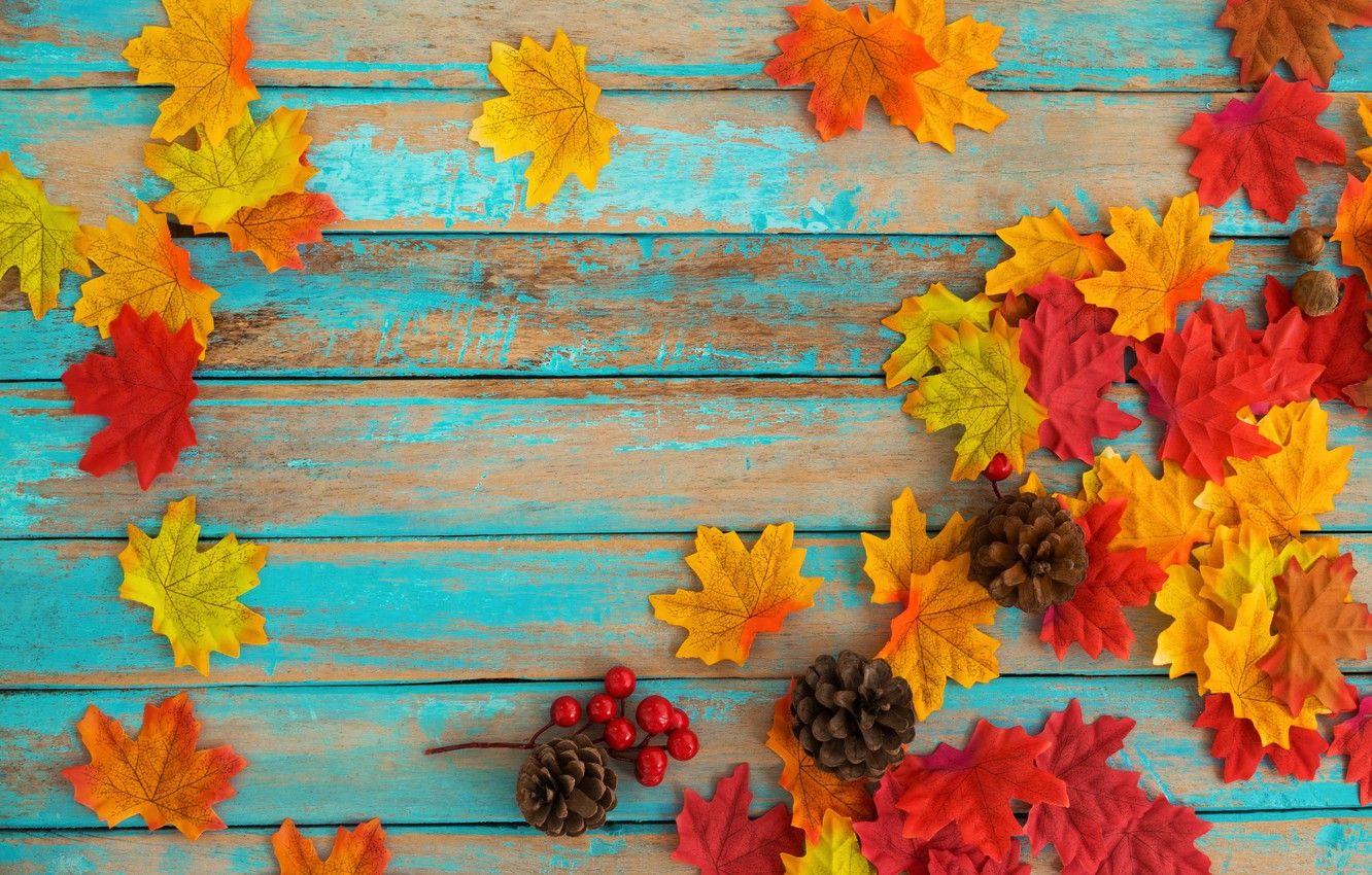 Vintage Leaves Wallpapers Top Free Vintage Leaves Backgrounds