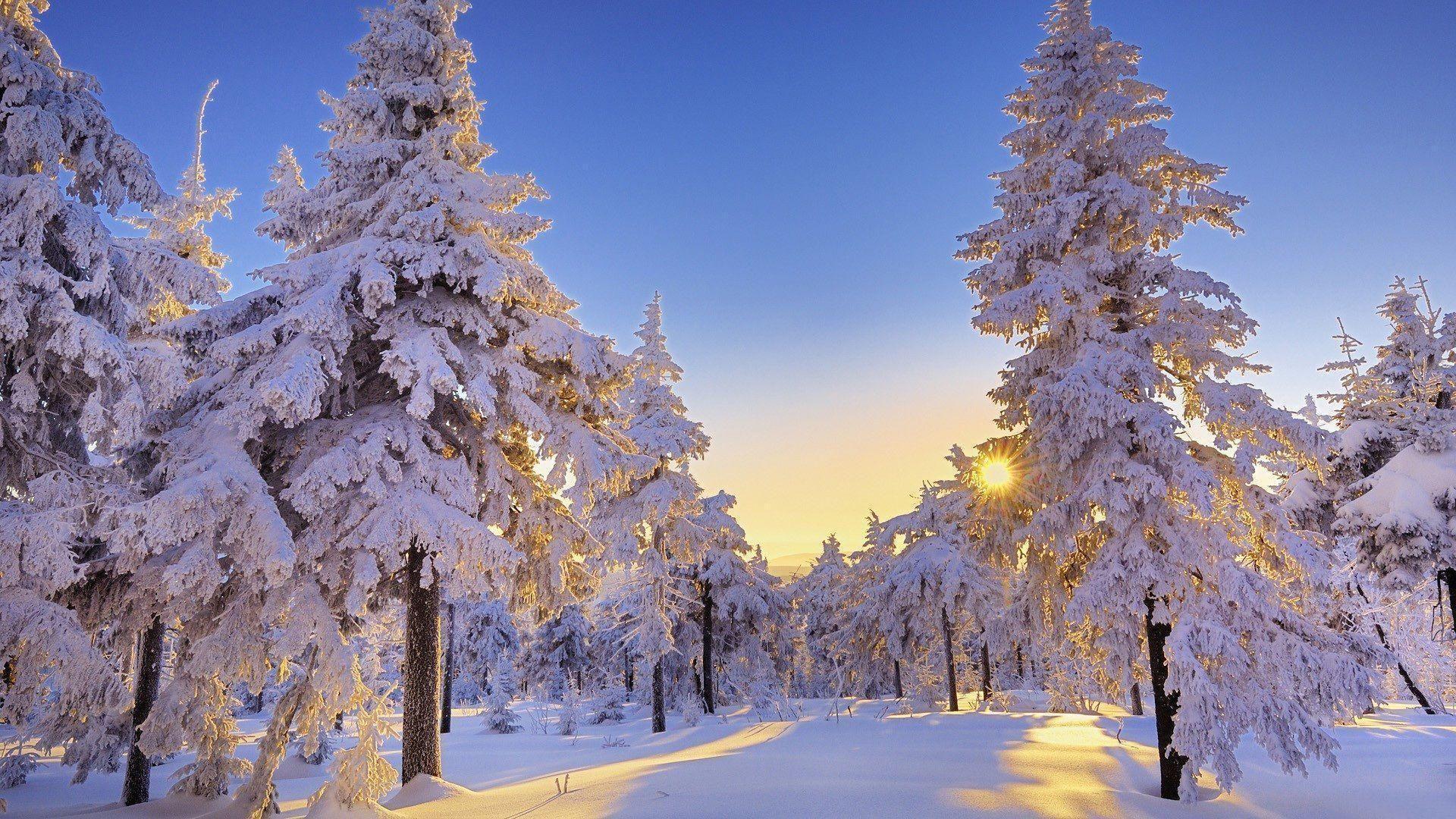 Winter Wonderland Desktop Wallpapers Top Free Winter Wonderland