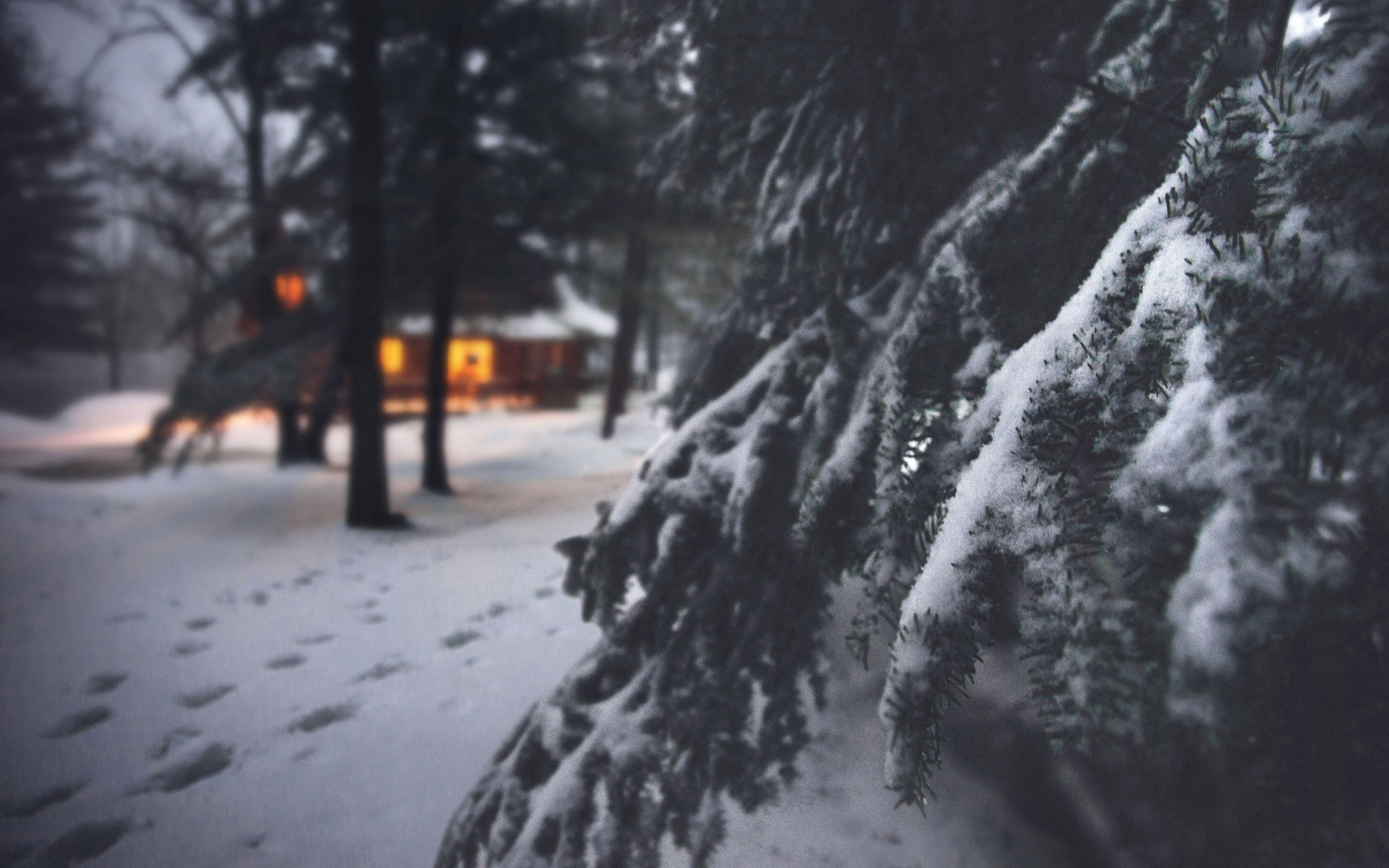 Cozy Winter Desktop Wallpapers Top Free Cozy Winter Desktop Backgrounds WallpaperAccess