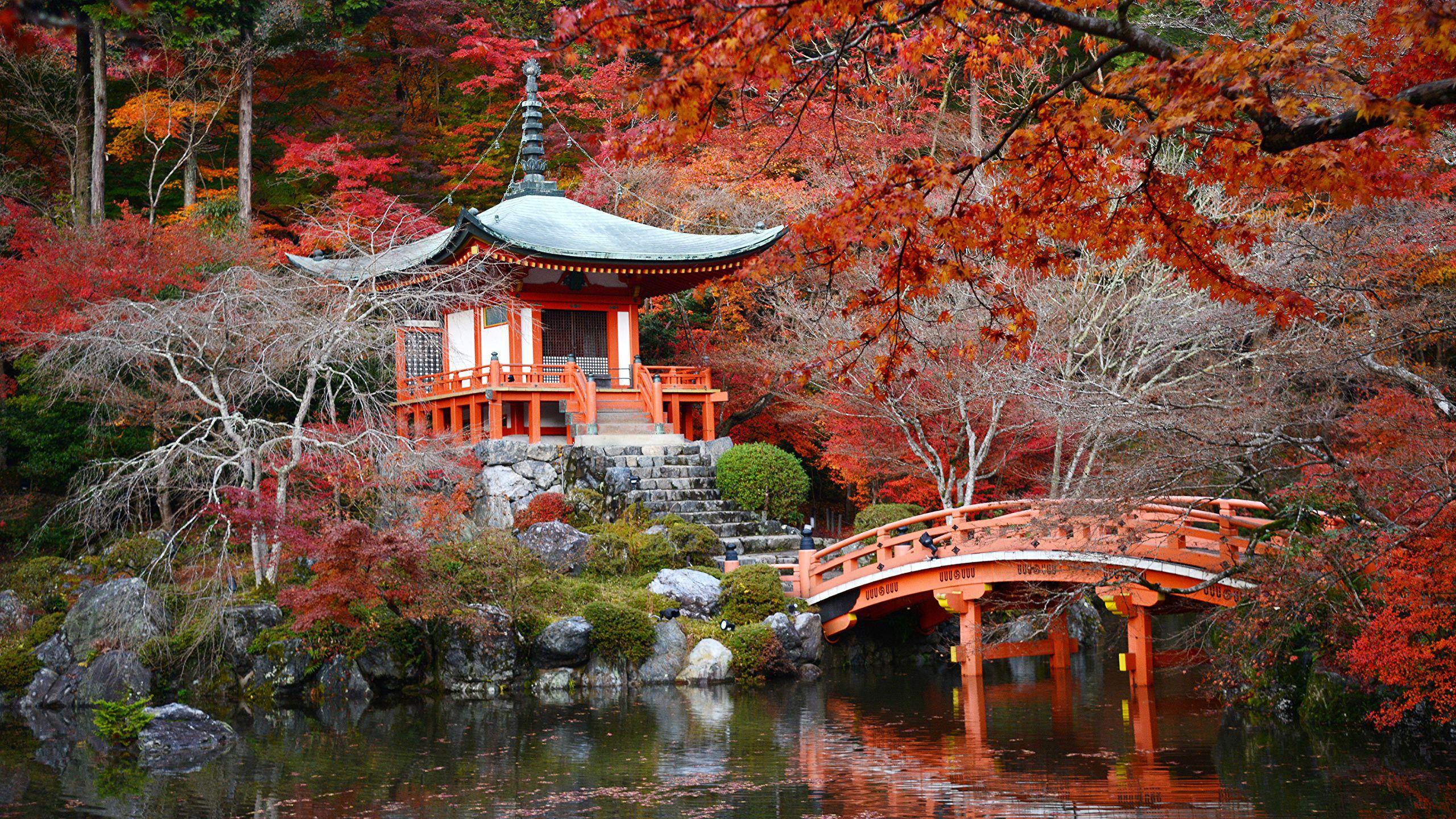 Kyoto Japan Desktop Wallpapers Top Free Kyoto Japan Desktop