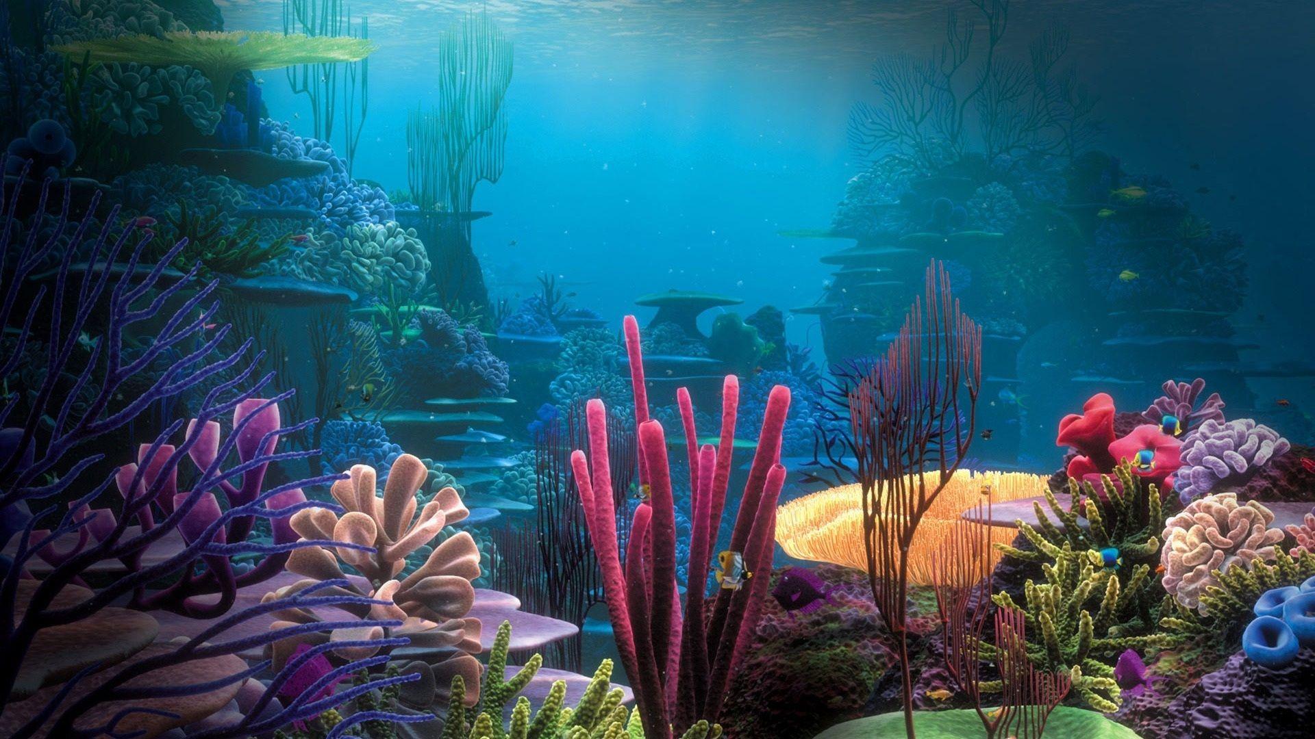 Under the Sea Desktop Wallpapers Top Free Under the Sea Desktop