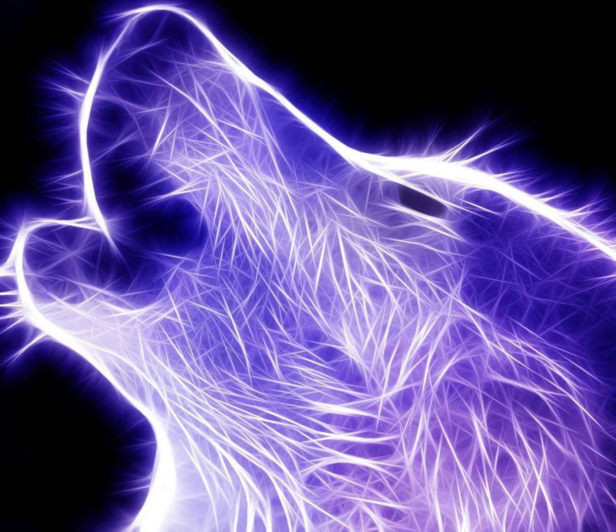 Blue Wolf Wallpapers Top Free Blue Wolf Backgrounds WallpaperAccess