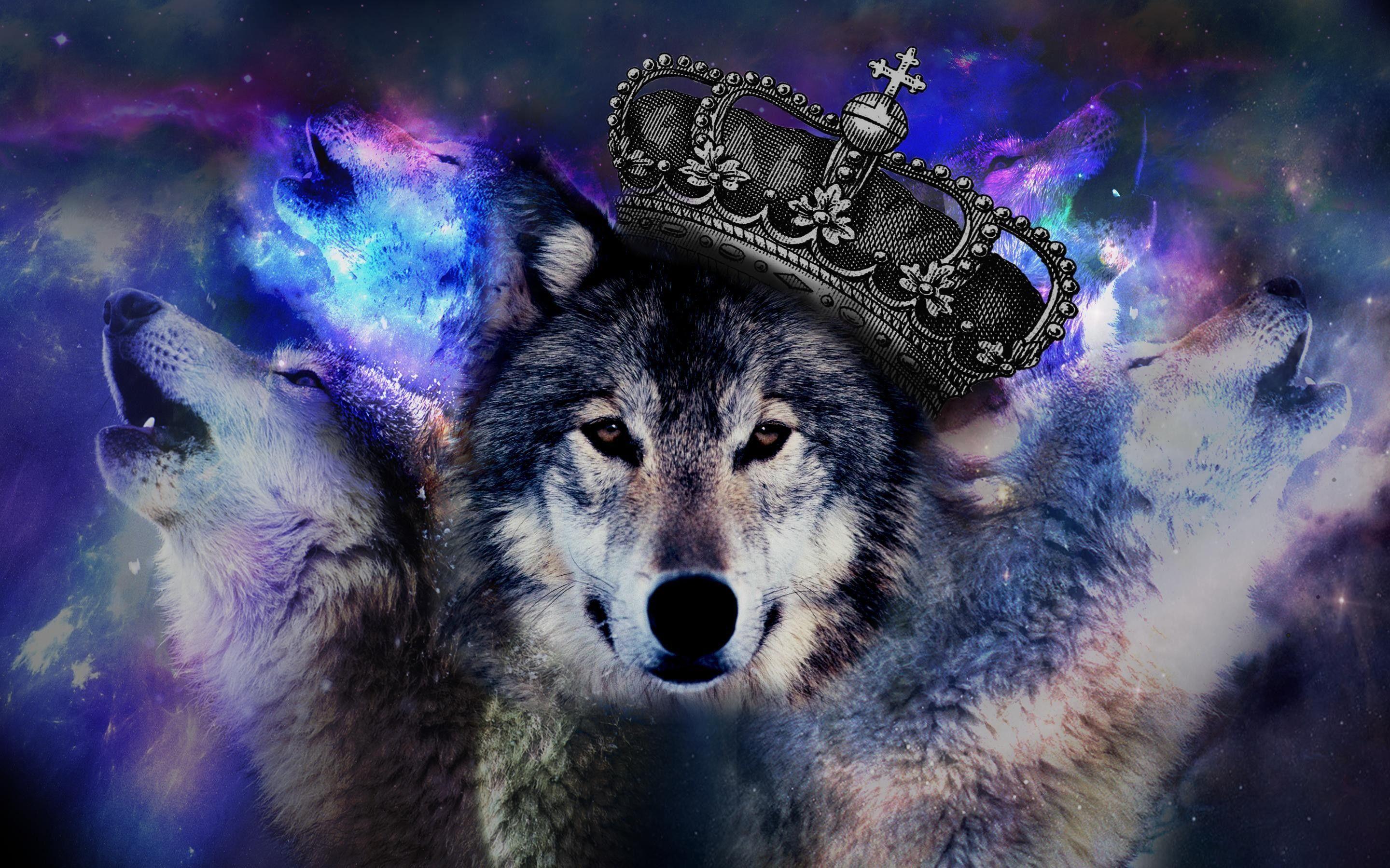 Epic Wolves Wallpapers Top Free Epic Wolves Backgrounds WallpaperAccess