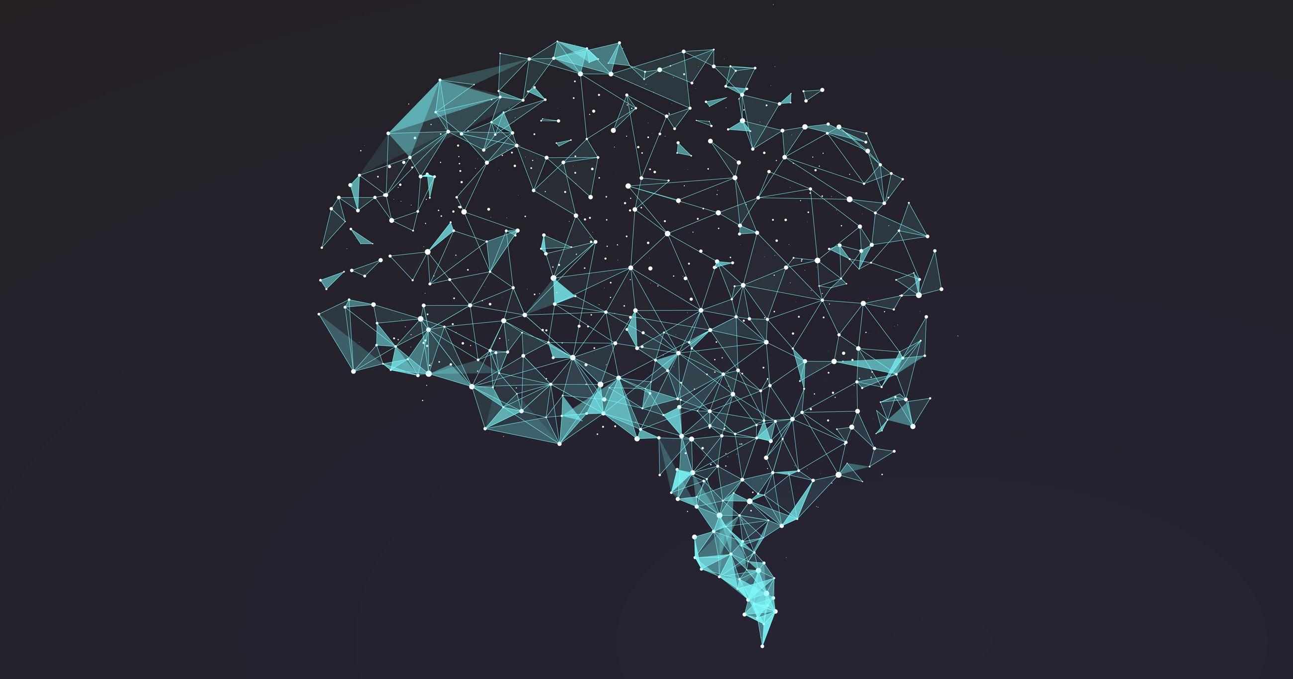 Brain Wallpapers Top Free Brain Backgrounds WallpaperAccess