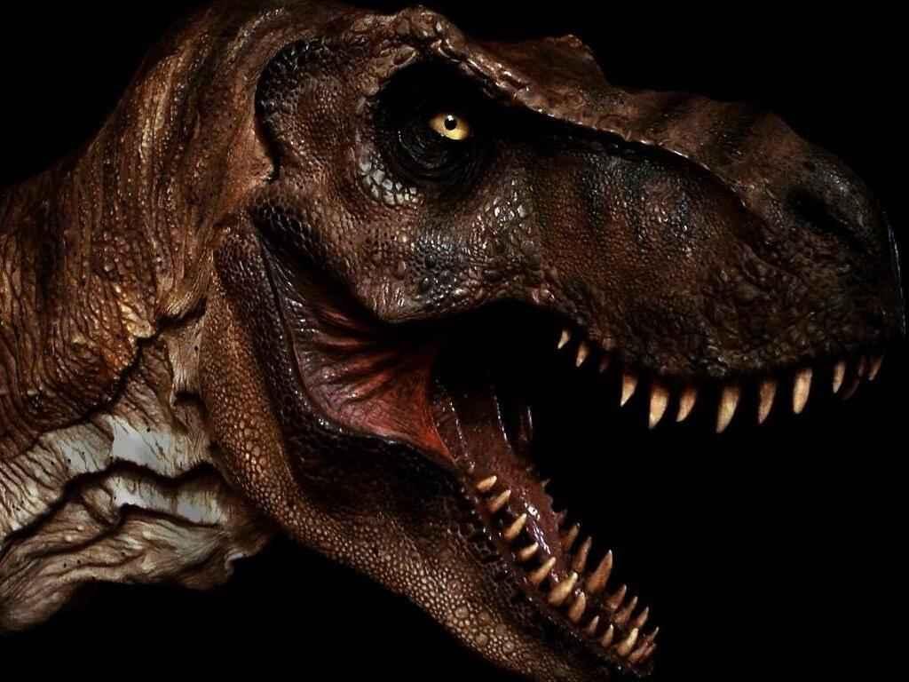 TRex Wallpapers Top Free TRex Backgrounds WallpaperAccess