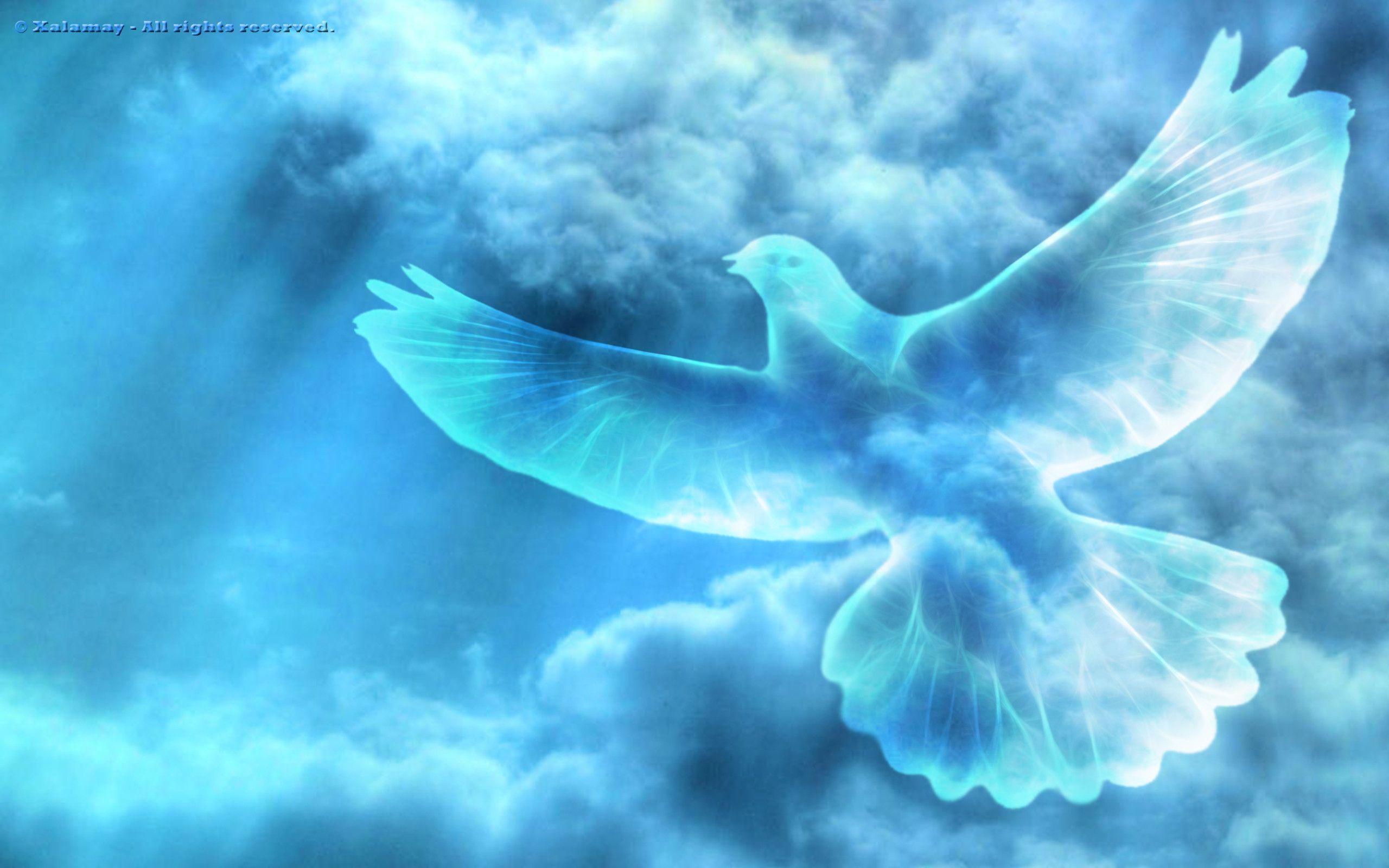 Dove Wallpapers Top Free Dove Backgrounds WallpaperAccess