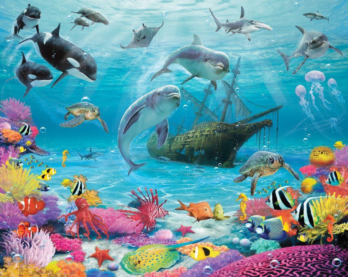 Under The Sea Wallpapers Top Free Under The Sea Backgrounds