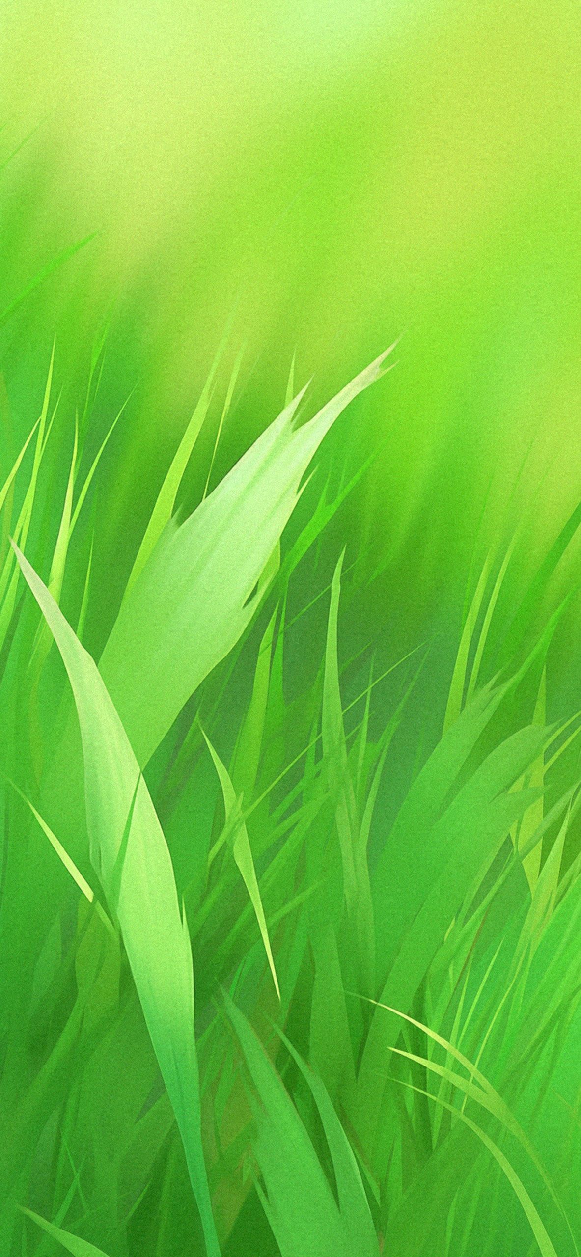 Fresh Green Wallpapers Top Free Fresh Green Backgrounds WallpaperAccess