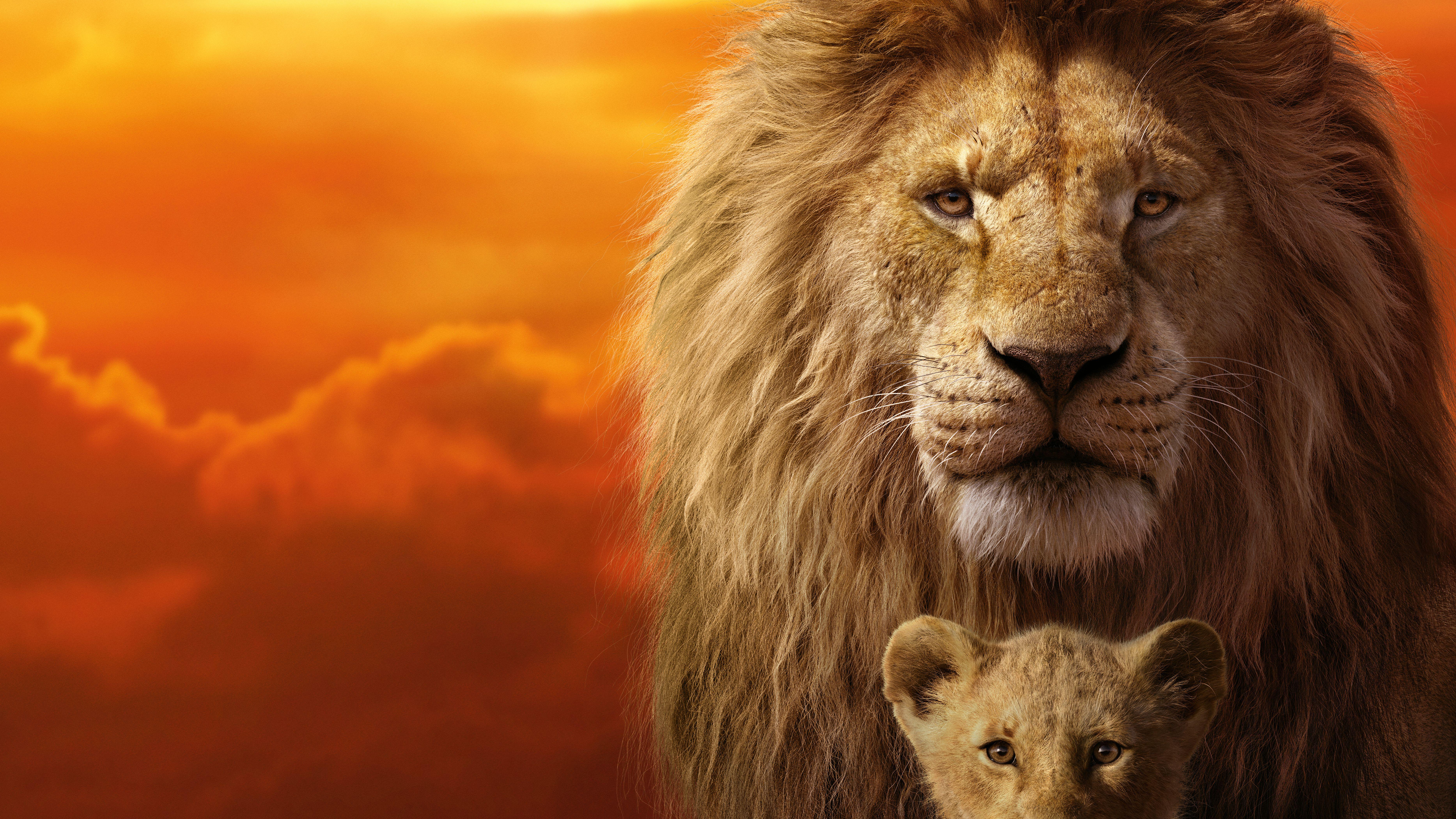 The Lion King 2019 Wallpapers Top Free The Lion King 2019 Backgrounds