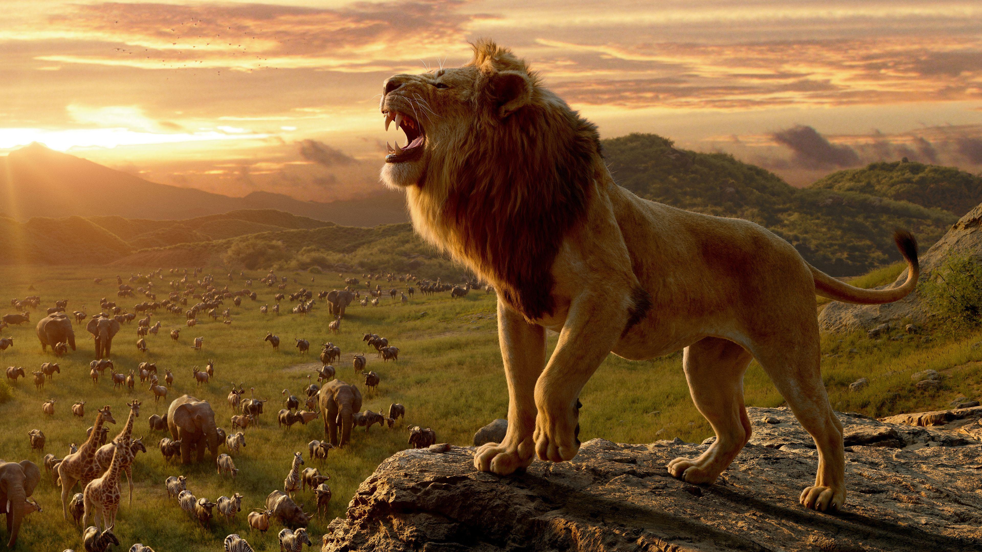 The Lion King 2019 Wallpapers Top Free The Lion King 2019 Backgrounds