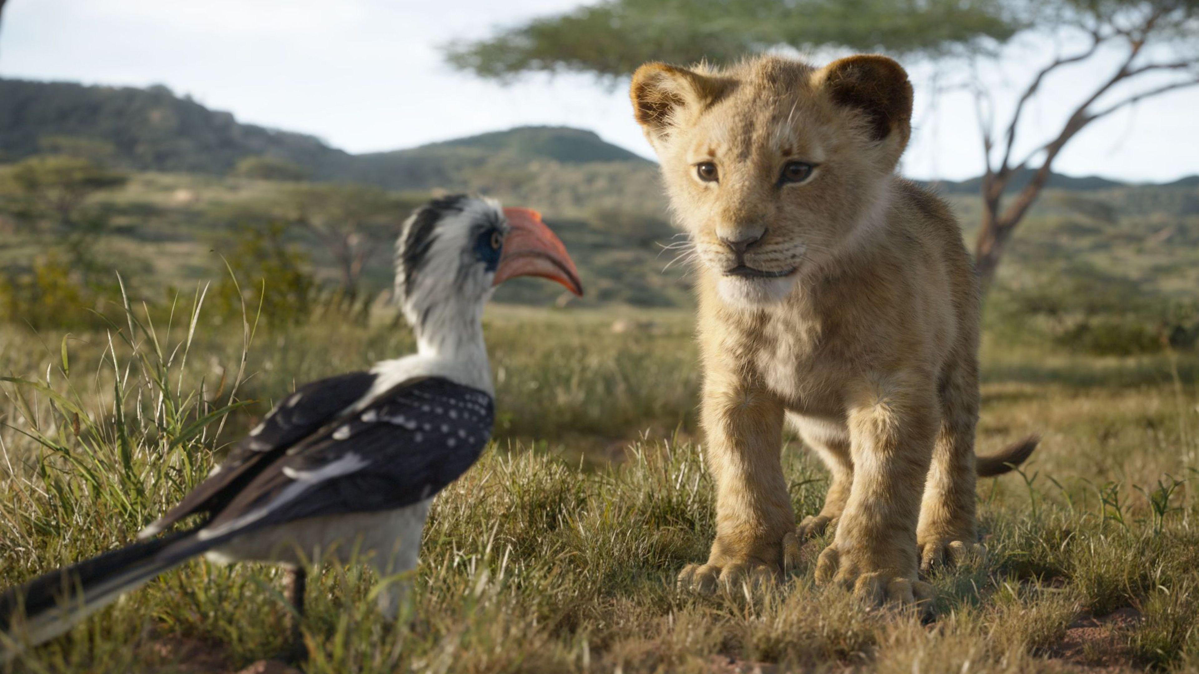The Lion King 2019 Wallpapers Top Free The Lion King 2019 Backgrounds