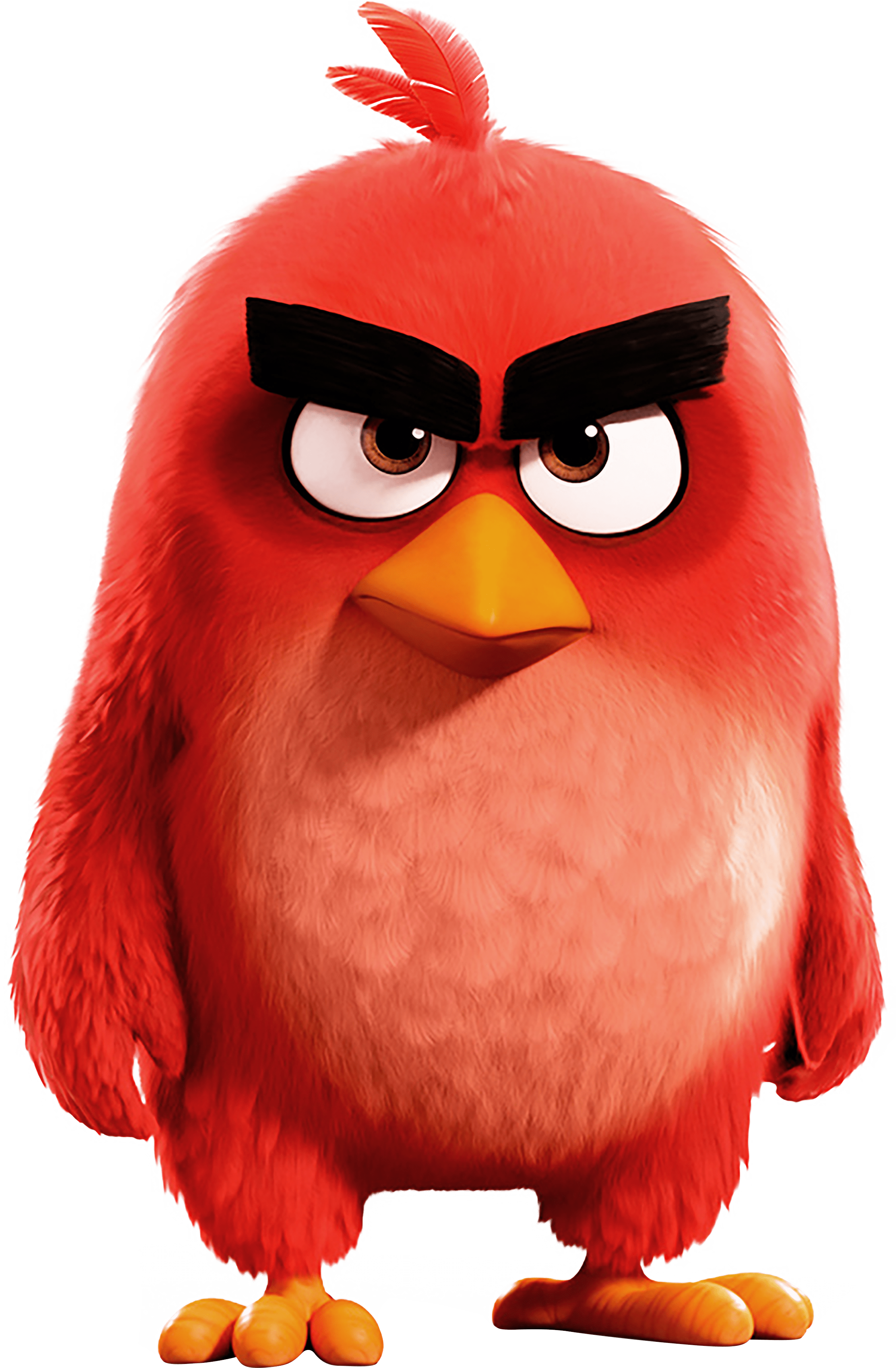 Angry Birds Red Wallpapers Top Free Angry Birds Red Backgrounds WallpaperAccess