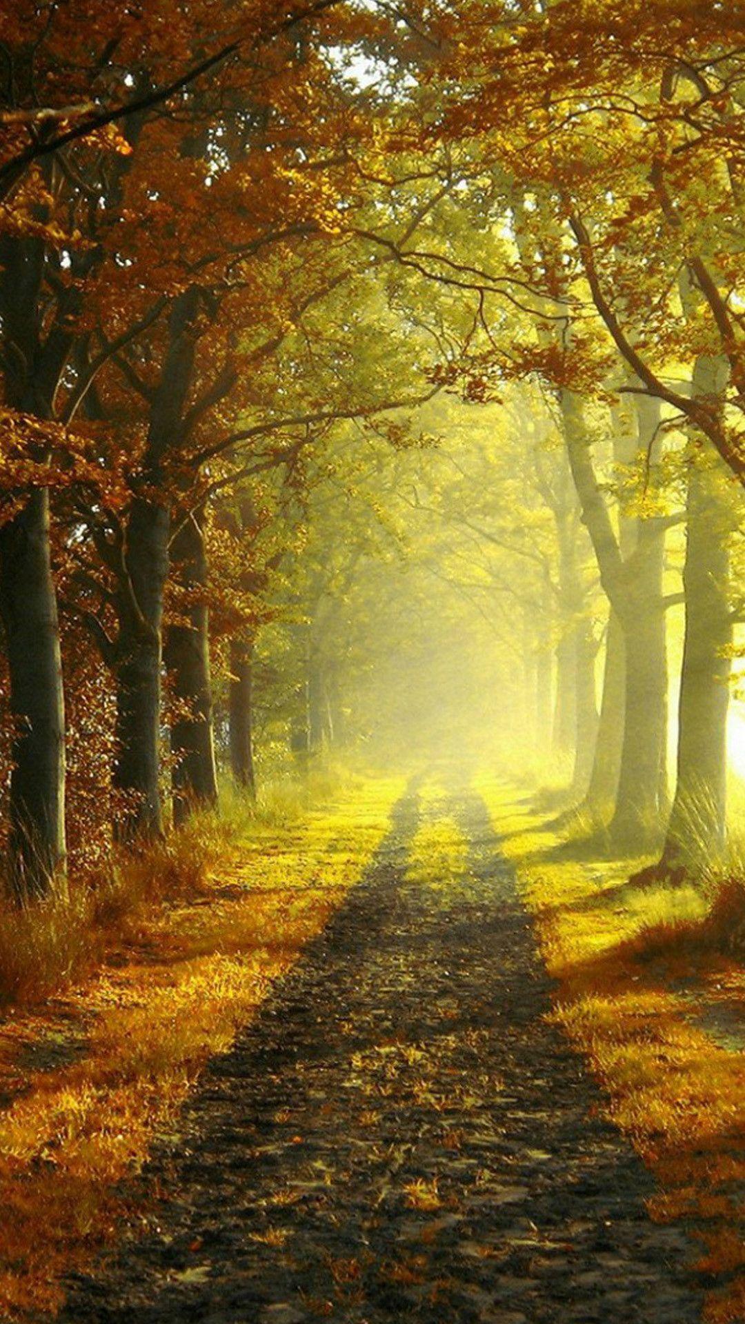 Country iPhone Wallpapers Top Free Country iPhone Backgrounds