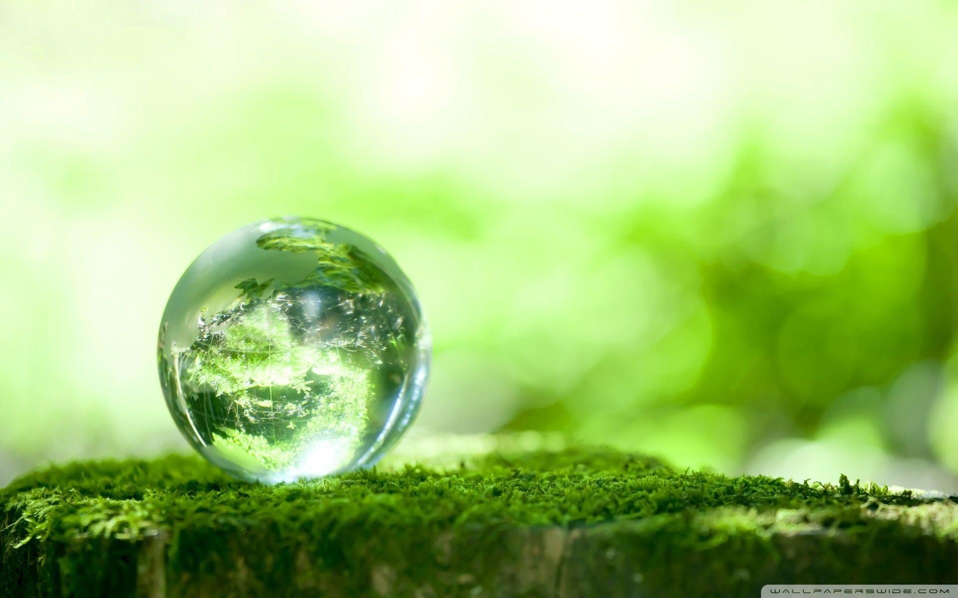 Earth Green Wallpapers Top Free Earth Green Backgrounds WallpaperAccess