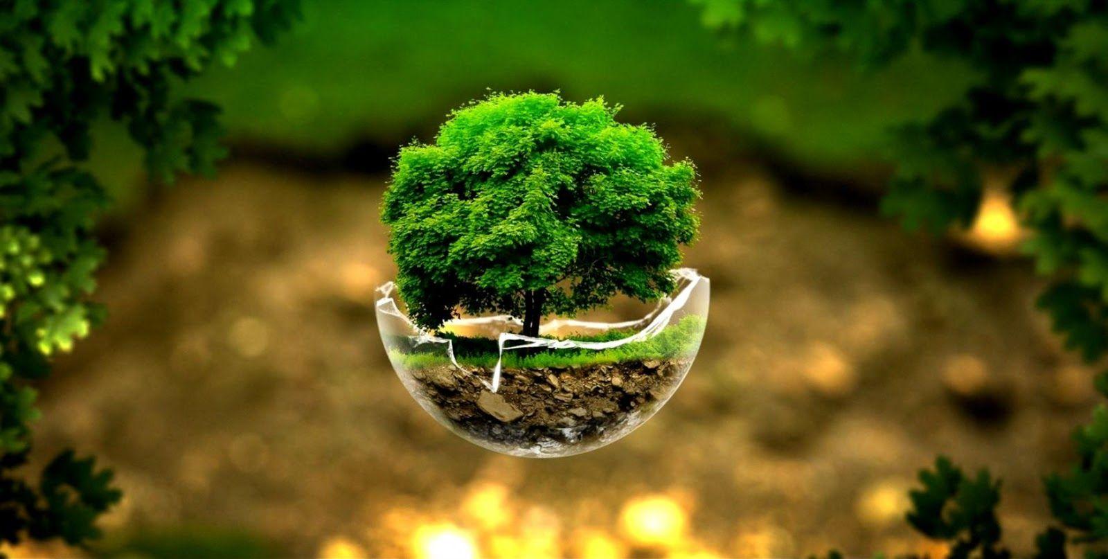 Earth Green Wallpapers Top Free Earth Green Backgrounds WallpaperAccess