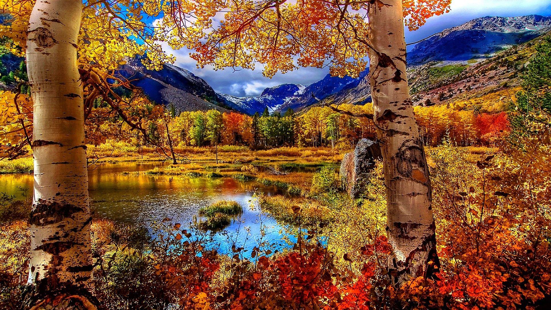 Scenic Autumn Desktop Wallpapers Top Free Scenic Autumn Desktop