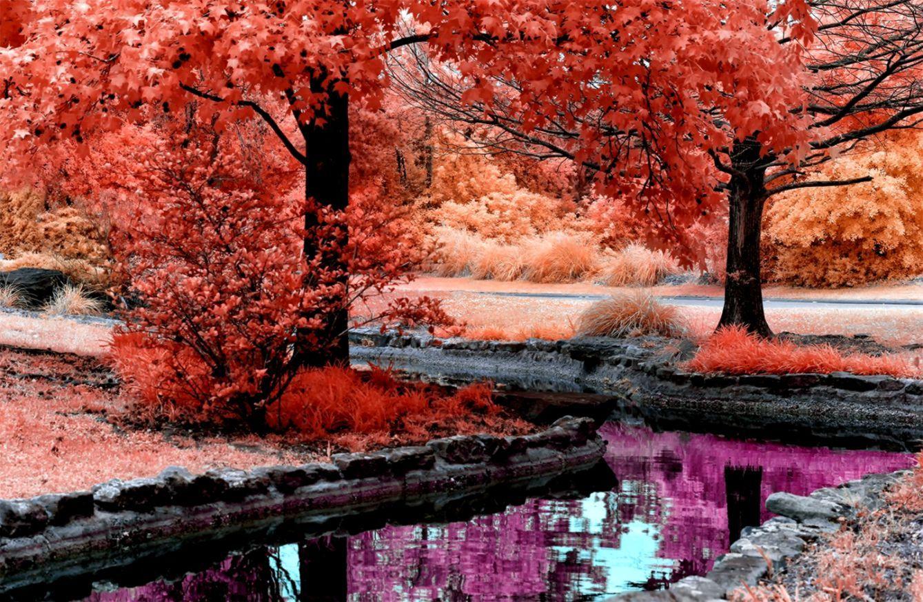 Pink Autumn Wallpapers Top Free Pink Autumn Backgrounds WallpaperAccess
