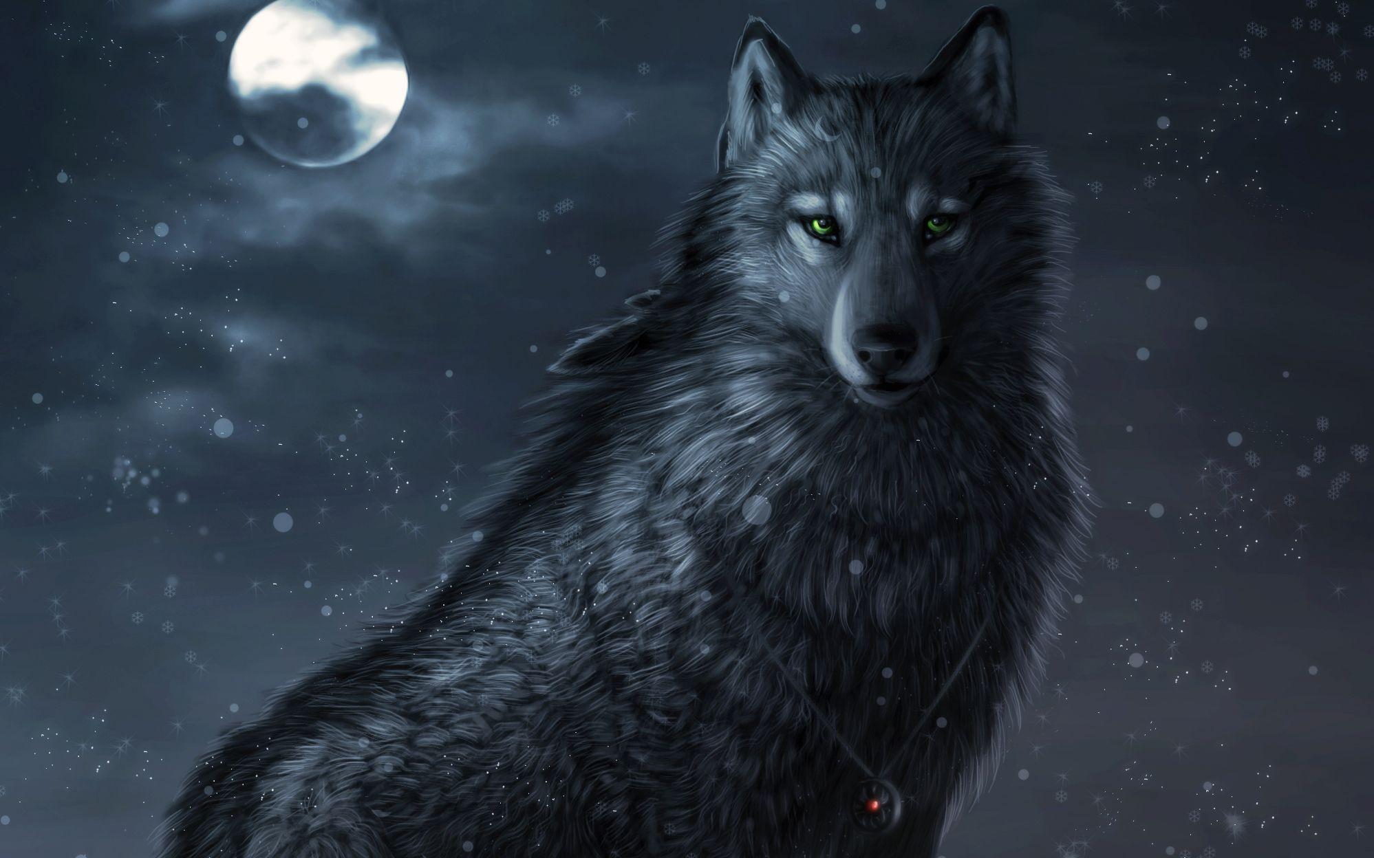 Black Anime Wolf Wallpapers Top Free Black Anime Wolf Backgrounds