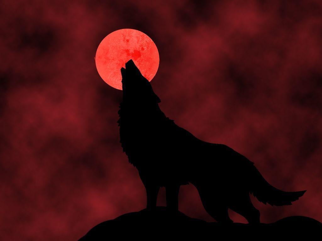 Blood Moon Wolf Wallpapers Top Free Blood Moon Wolf Backgrounds