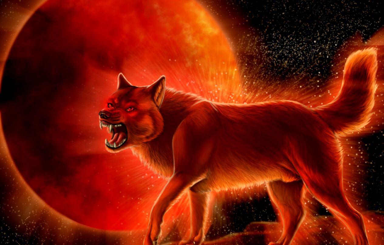 Blood Wolf Wallpapers Top Free Blood Wolf Backgrounds WallpaperAccess