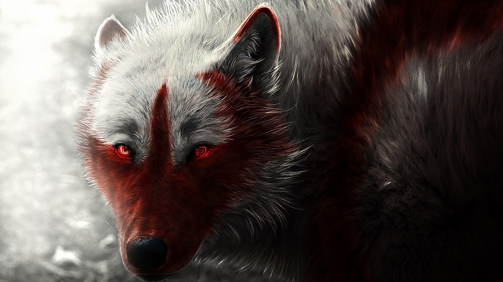 Blood Wolf Wallpapers Top Free Blood Wolf Backgrounds WallpaperAccess