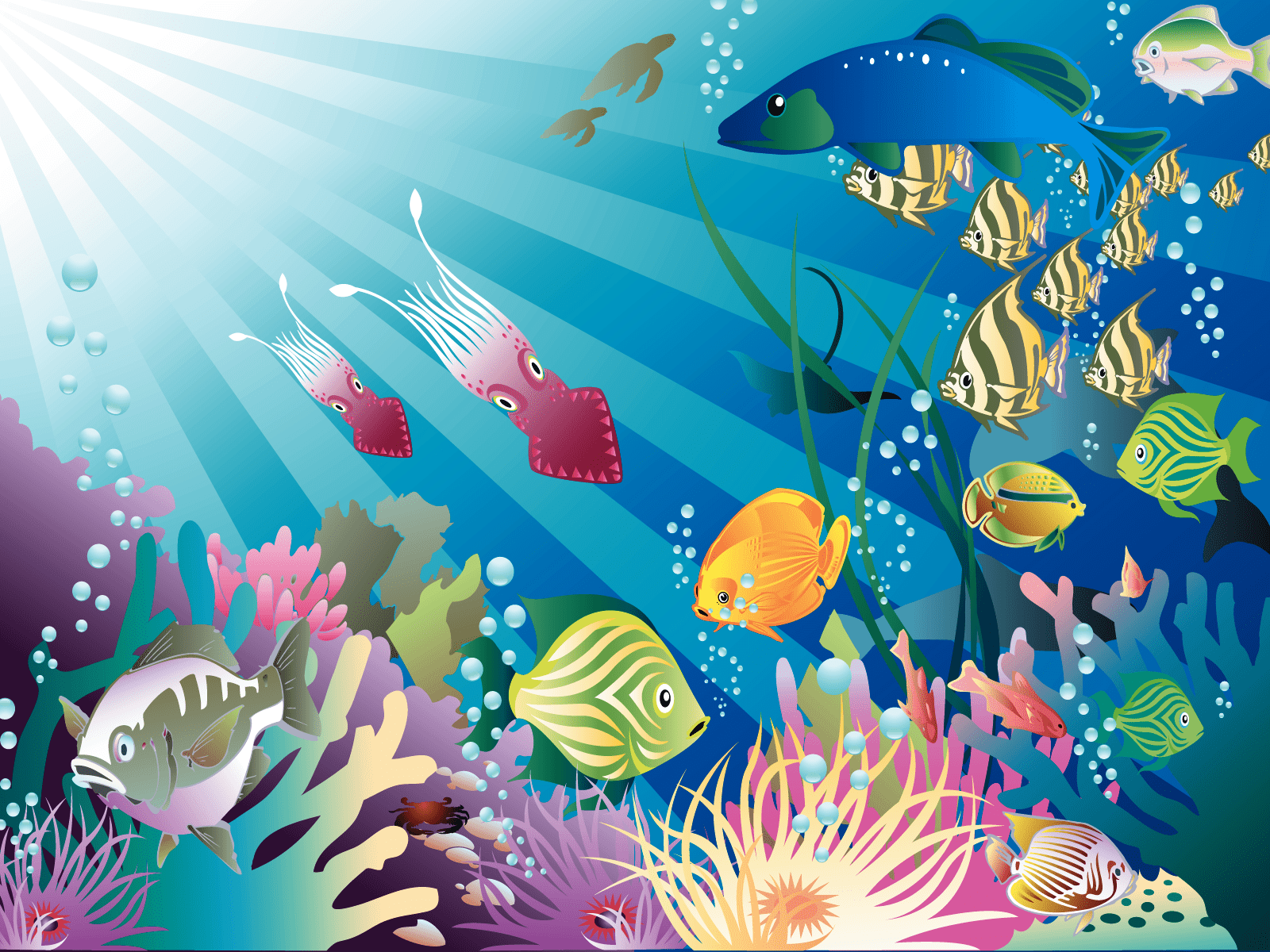 Cartoon Aquarium Wallpapers Top Free Cartoon Aquarium Backgrounds