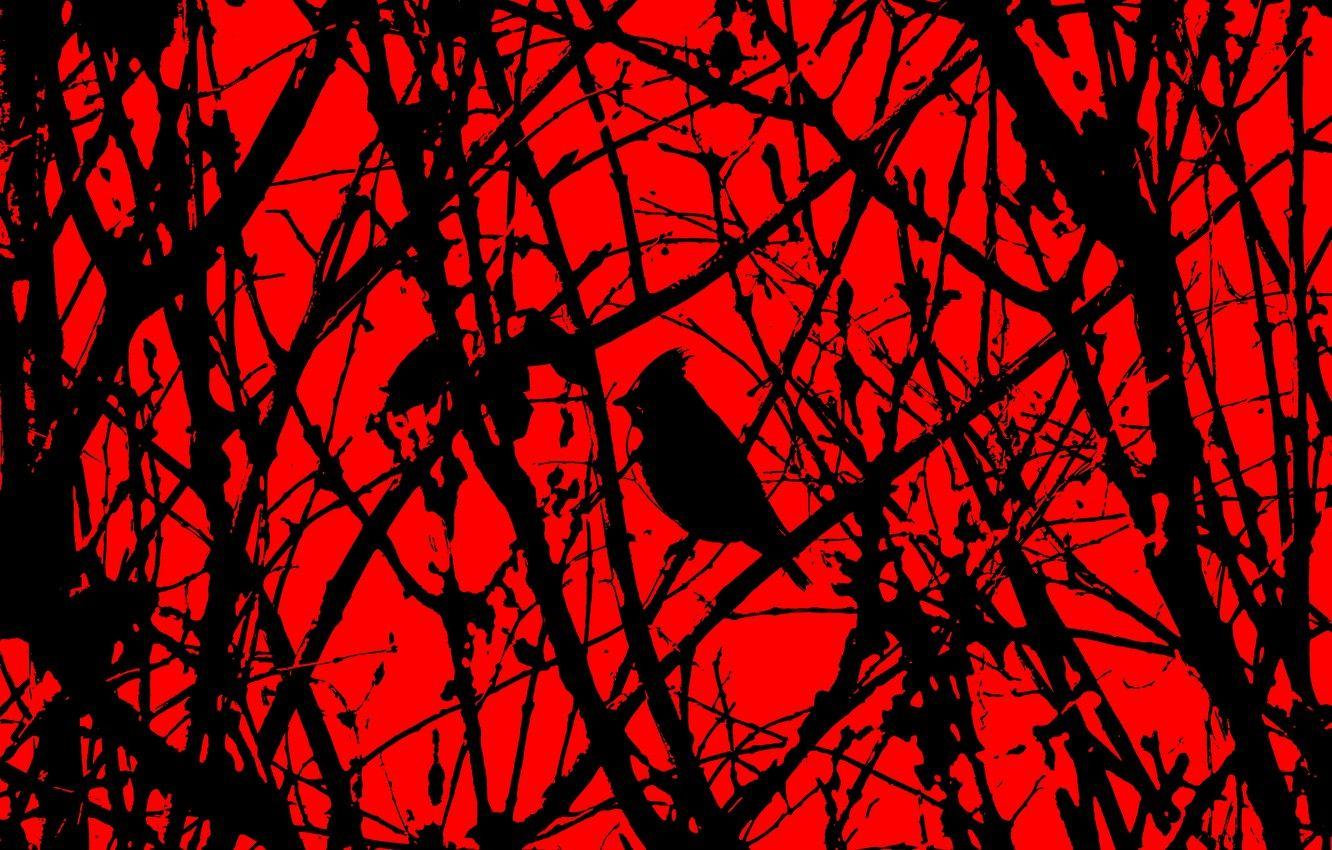 Black and Red Horror Wallpapers Top Free Black and Red Horror