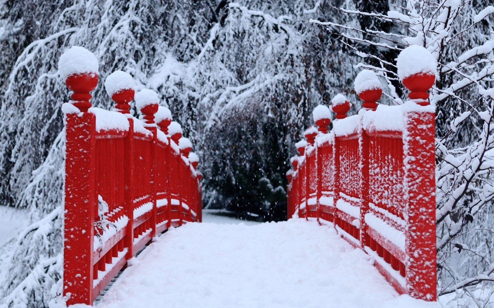 Red Winter Wallpapers Top Free Red Winter Backgrounds WallpaperAccess
