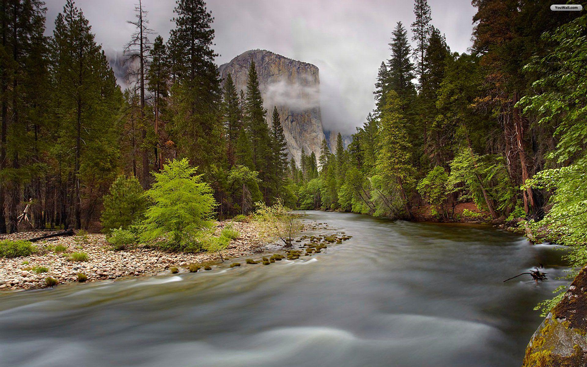 Forest River Wallpapers Top Free Forest River Backgrounds