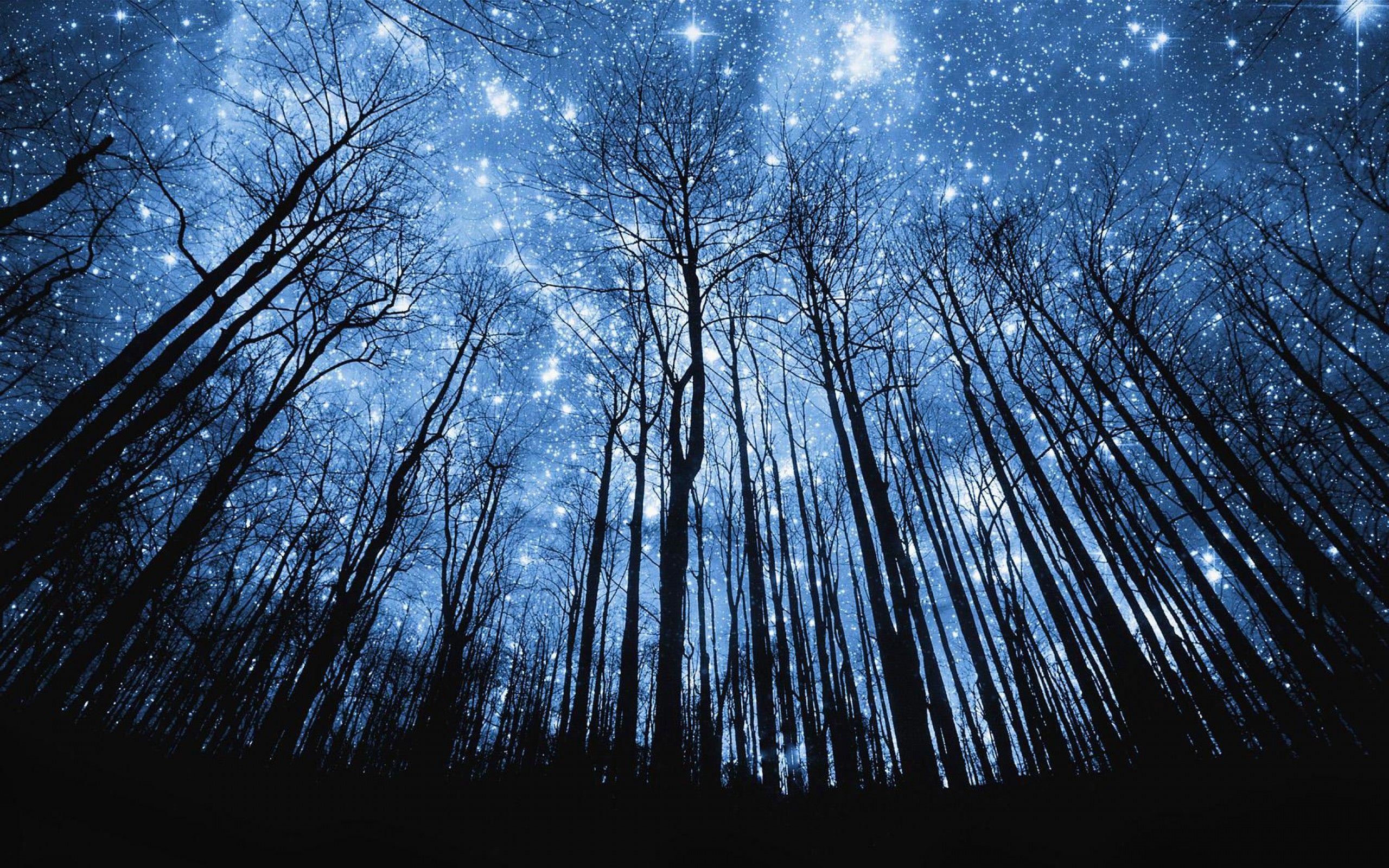 Beautiful Starry Night Sky Wallpapers Top Free Beautiful Starry Night Sky Backgrounds