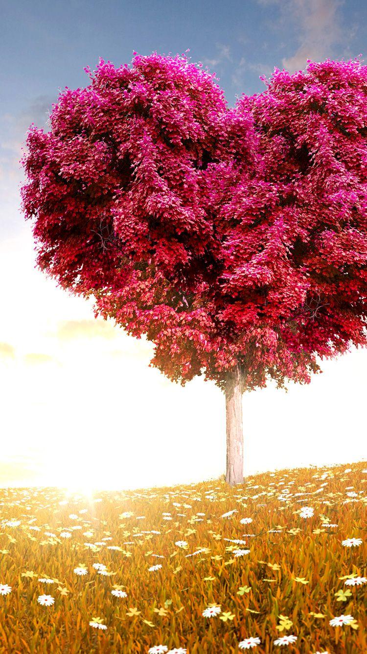 Cute iPhone Wallpapers Top Free Cute iPhone Backgrounds WallpaperAccess