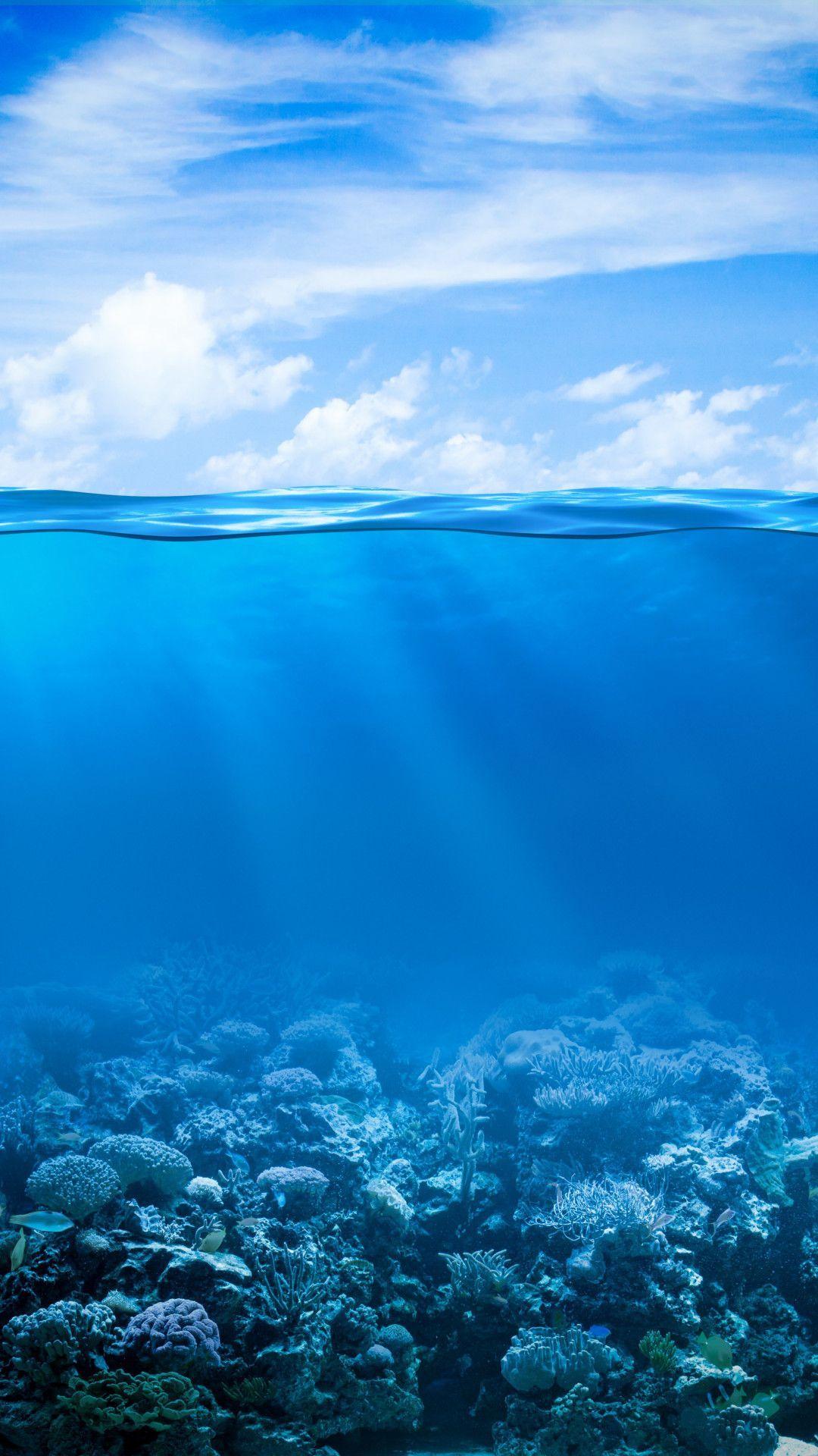 Underwater Ocean iPhone Wallpapers Top Free Underwater Ocean iPhone