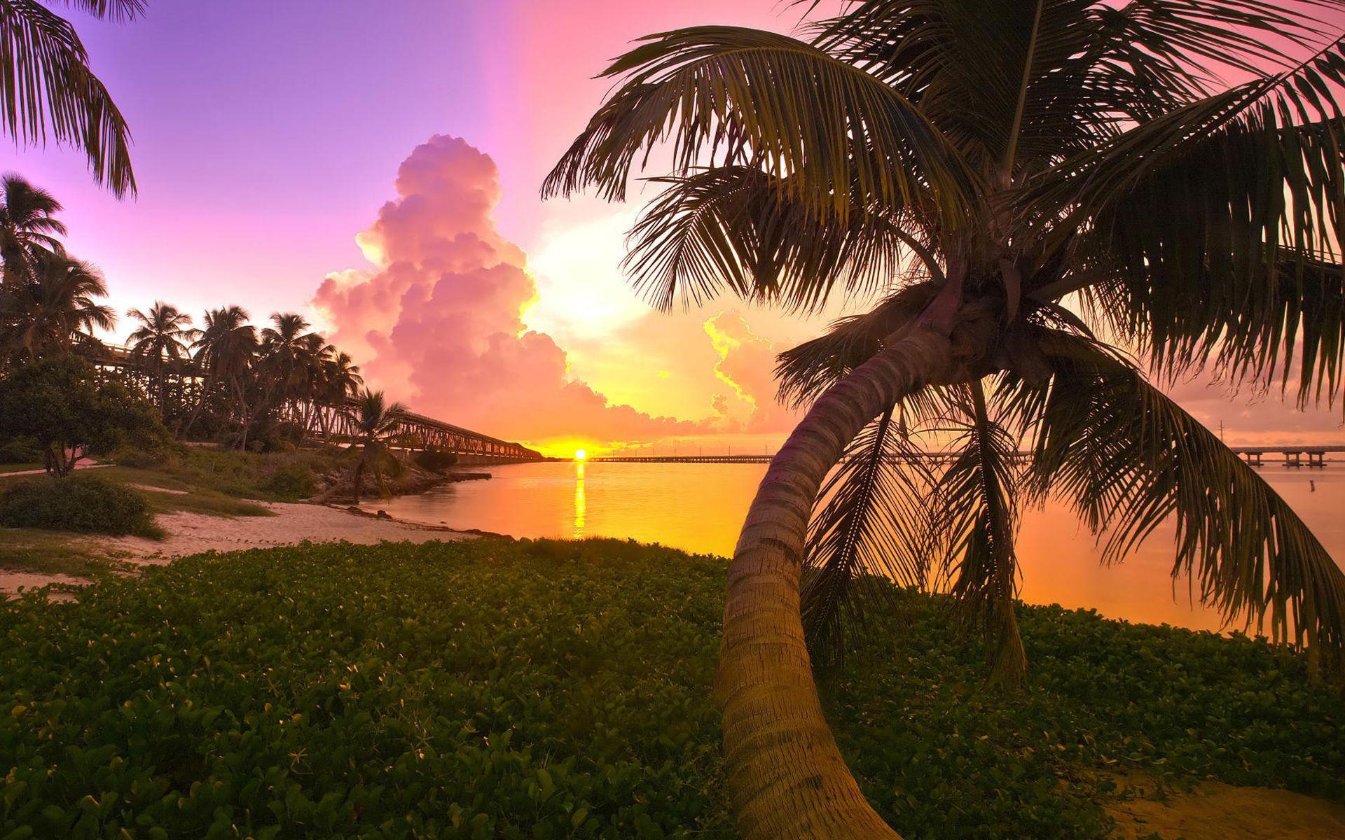 Exotic Beautiful Wallpapers Top Free Exotic Beautiful Backgrounds