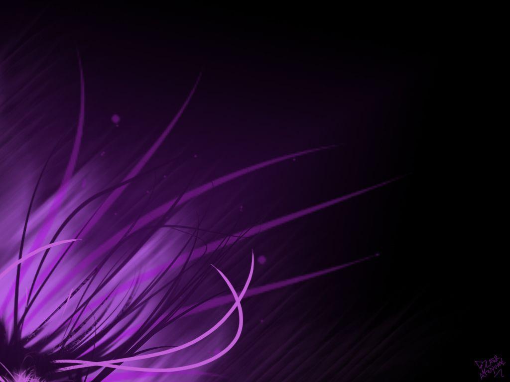 Beautiful Dark Purple Wallpapers Top Free Beautiful Dark Purple