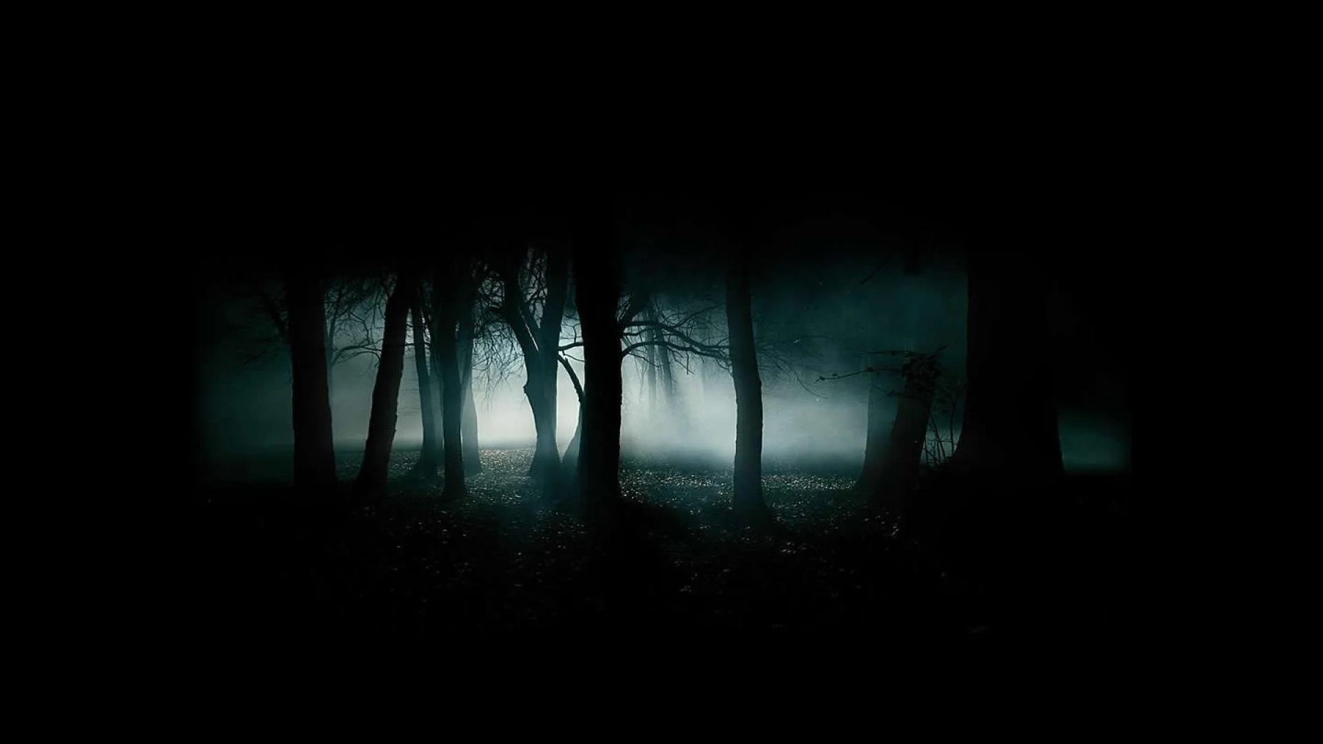 Dark Scary Wallpapers Top Free Dark Scary Backgrounds WallpaperAccess