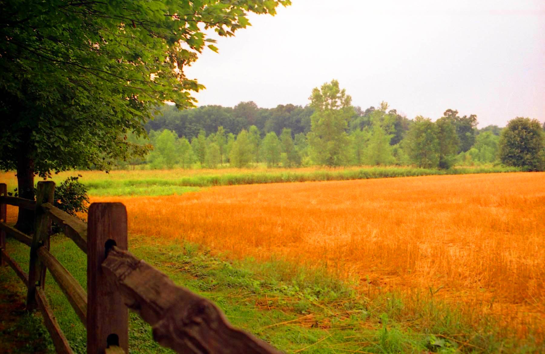 Late Summer Wallpapers Top Free Late Summer Backgrounds WallpaperAccess