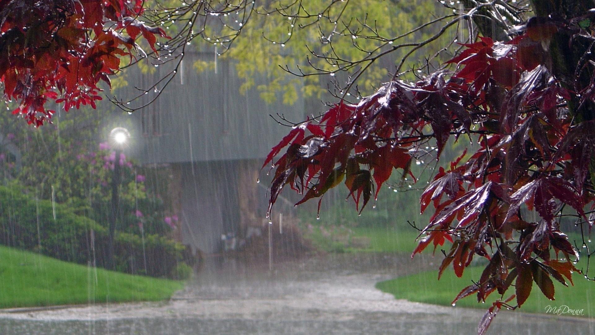Autumn Rain Wallpapers Top Free Autumn Rain Backgrounds WallpaperAccess