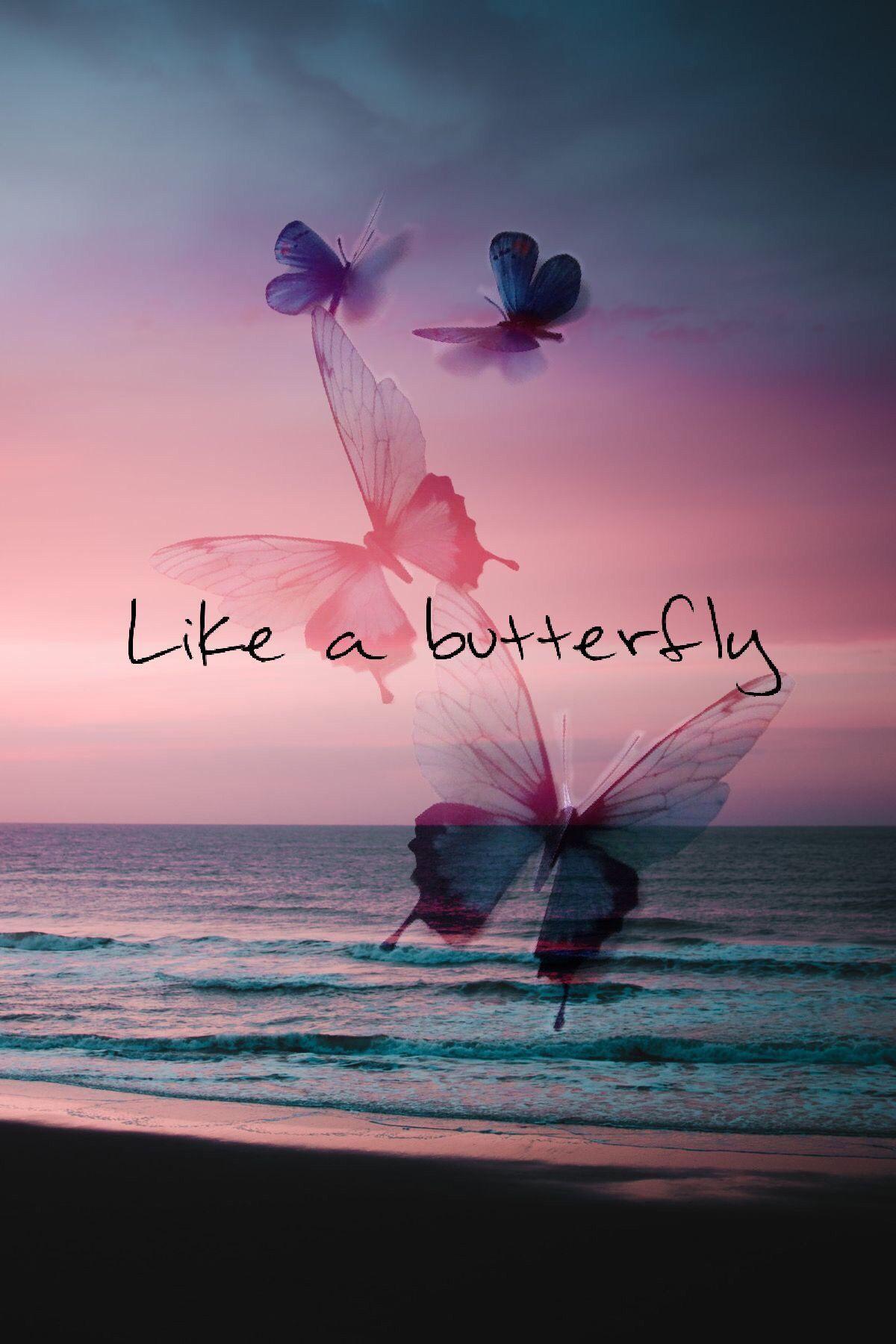 Butterfly Quotes Wallpapers Top Free Butterfly Quotes Backgrounds