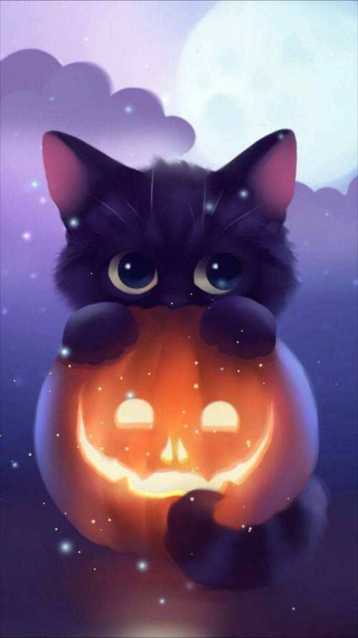 Cute Animal Halloween Wallpapers Top Free Cute Animal Halloween