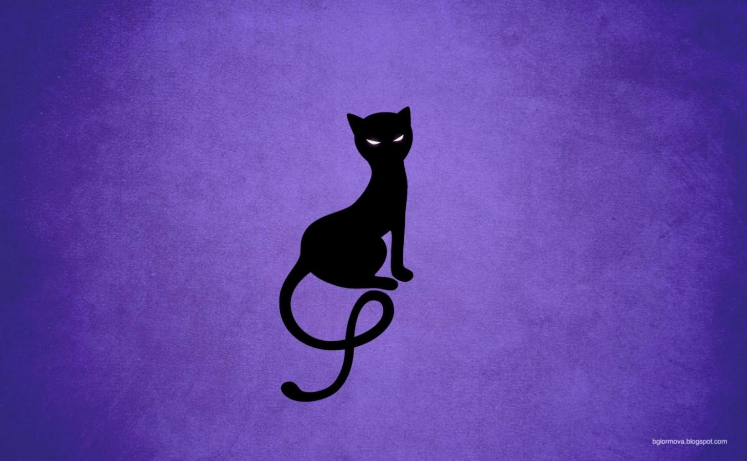 Animated Cat Wallpapers Top Free Animated Cat Backgrounds