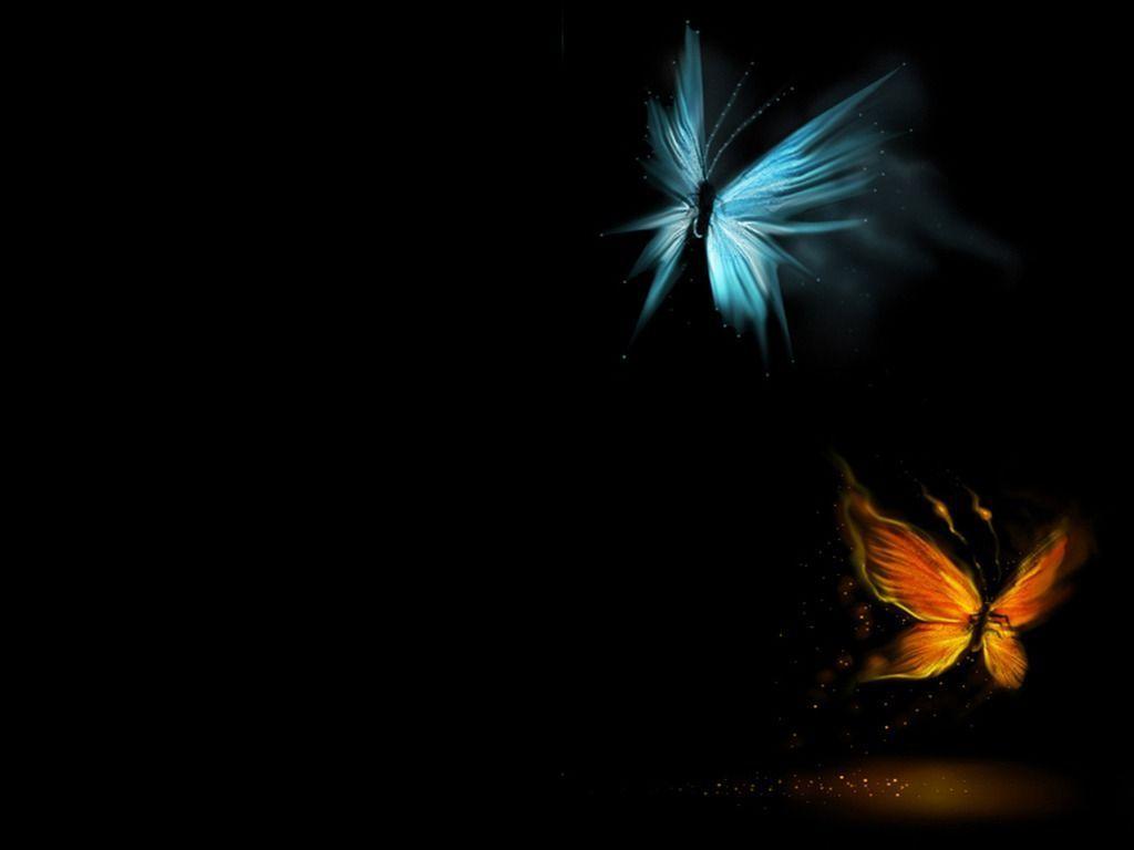 Black Butterfly HD Wallpapers Top Free Black Butterfly HD Backgrounds