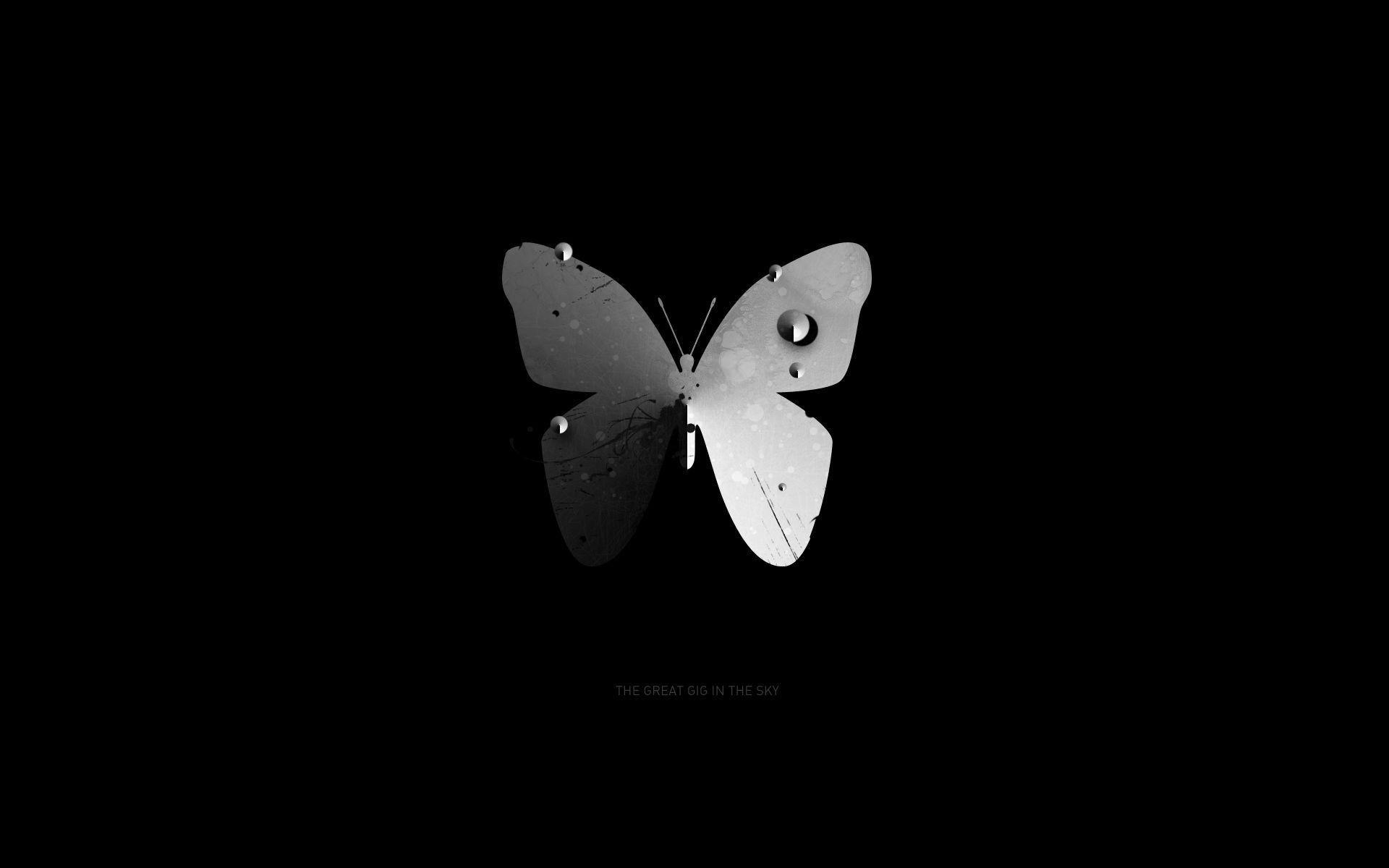 Dark Butterfly Wallpapers Top Free Dark Butterfly Backgrounds