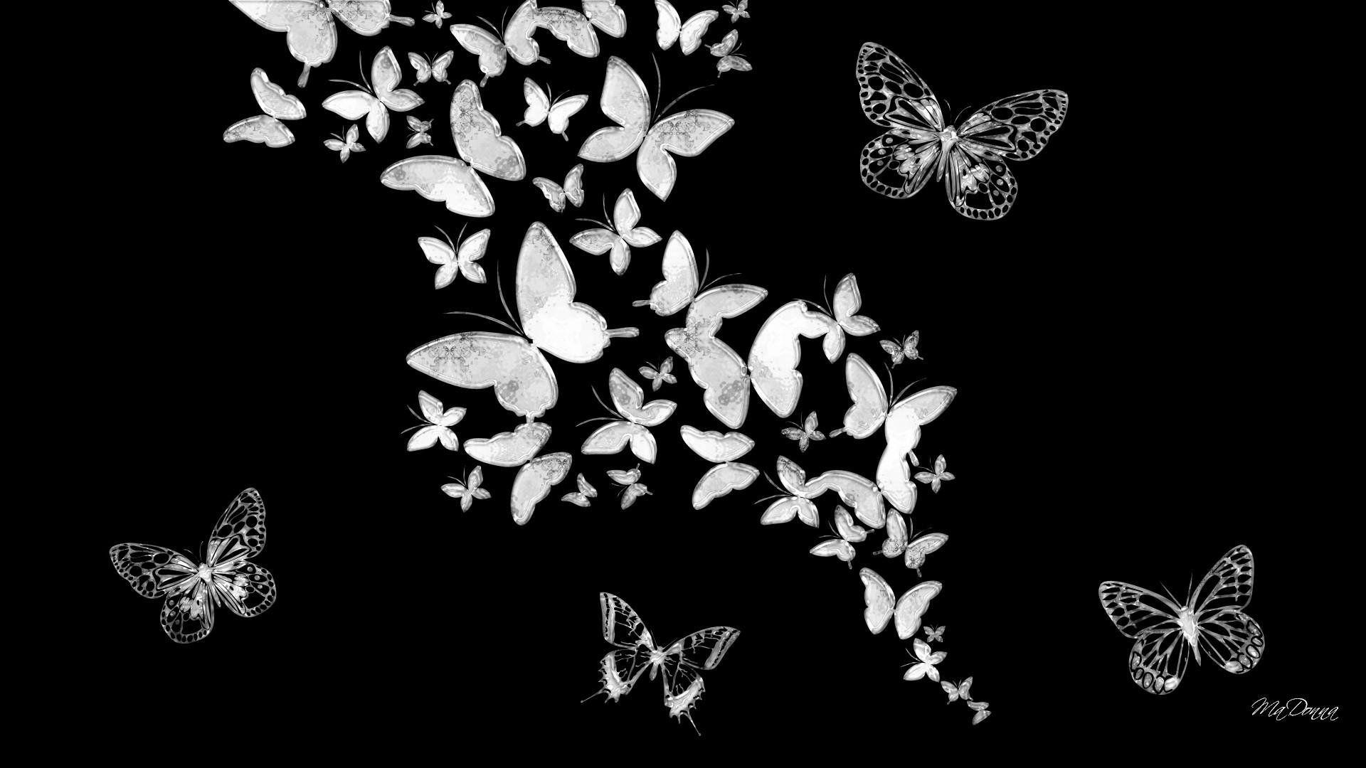 Dark Butterfly Wallpapers Top Free Dark Butterfly Backgrounds