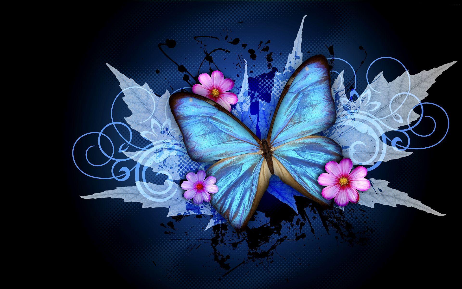 Dark Butterfly Wallpapers Top Free Dark Butterfly Backgrounds