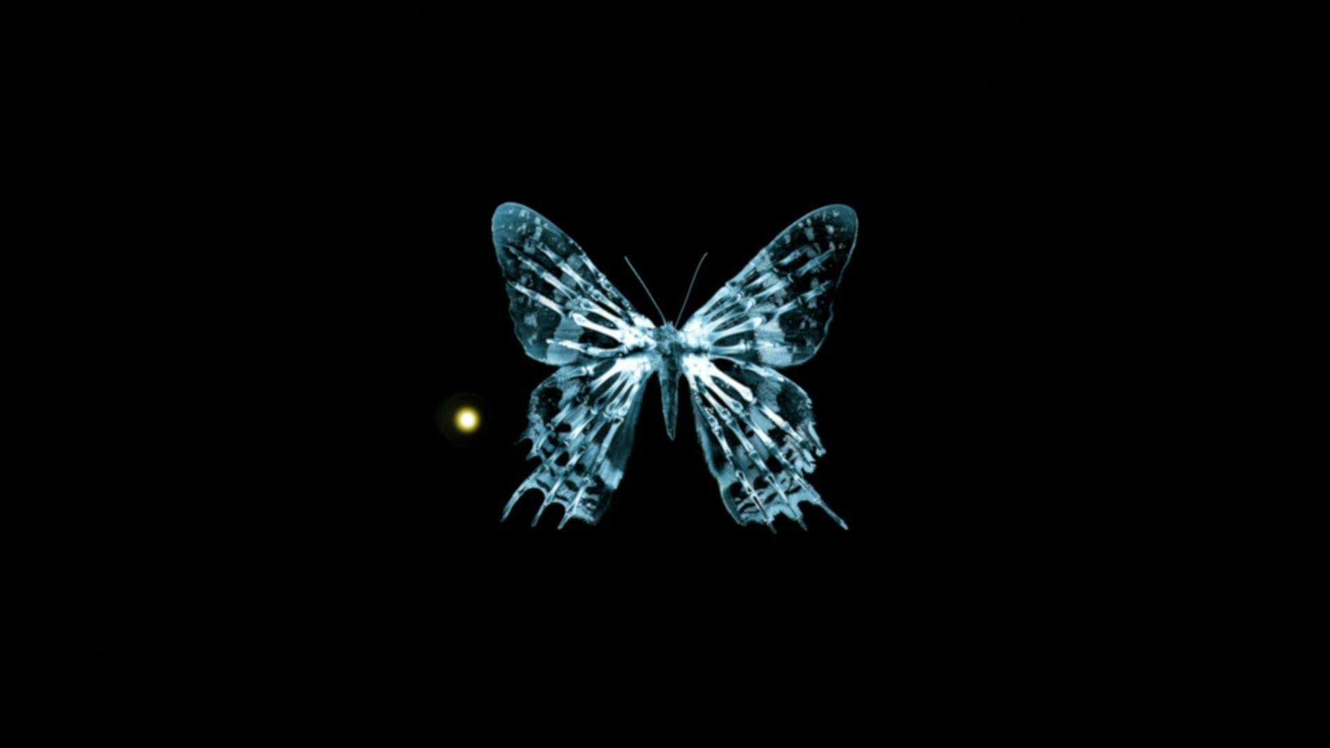 Dark Butterfly Wallpapers Top Free Dark Butterfly Backgrounds