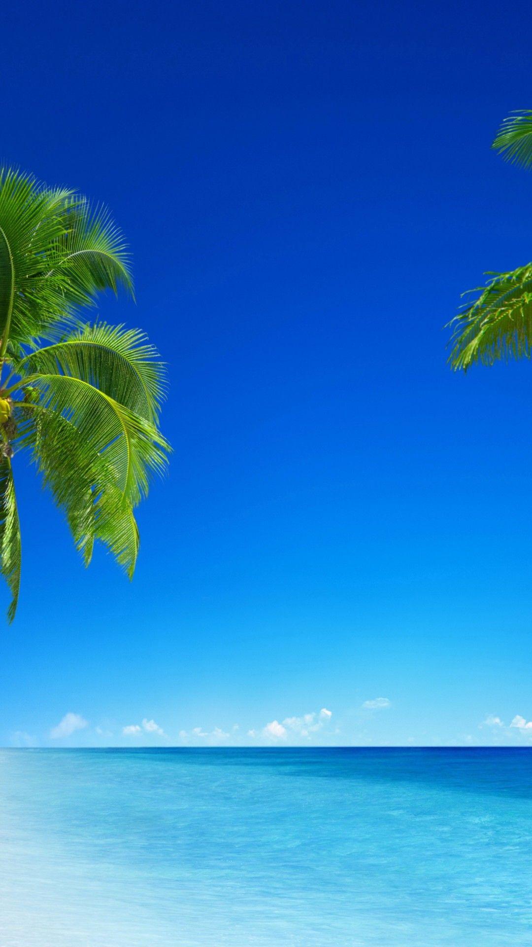 4K Vertical Wallpapers Top Free 4K Vertical Backgrounds WallpaperAccess