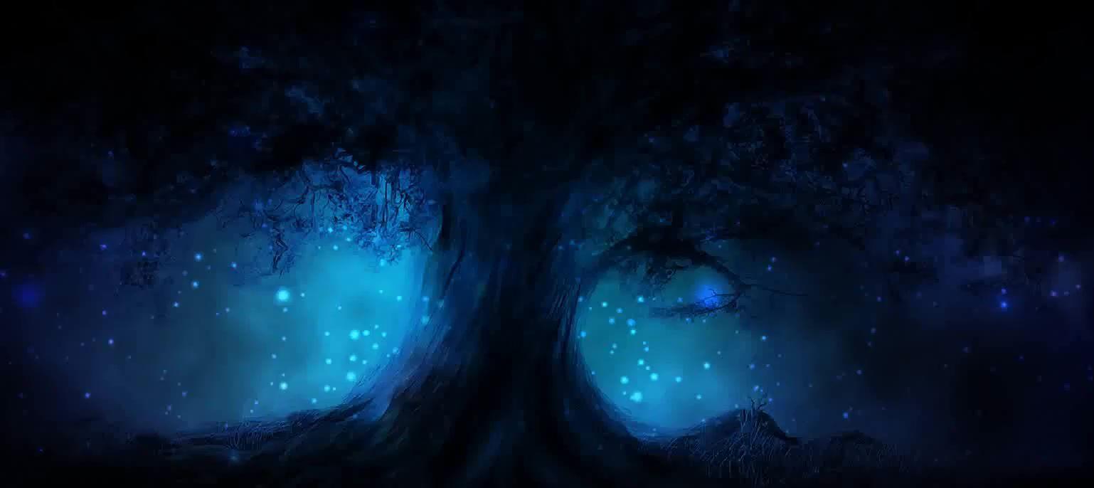 Dark Tree Wallpapers Top Free Dark Tree Backgrounds WallpaperAccess