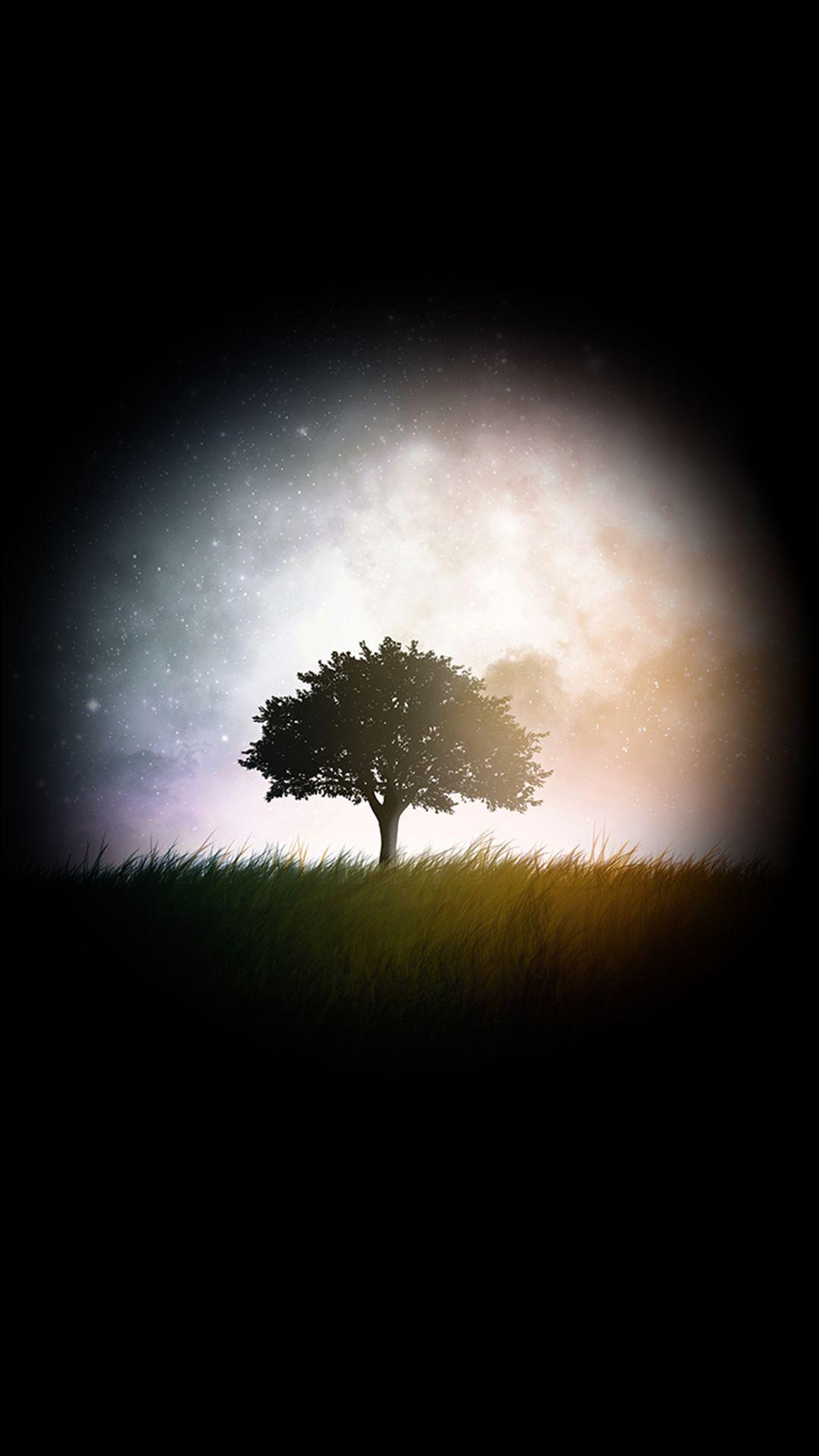 Dark Tree Wallpapers Top Free Dark Tree Backgrounds WallpaperAccess