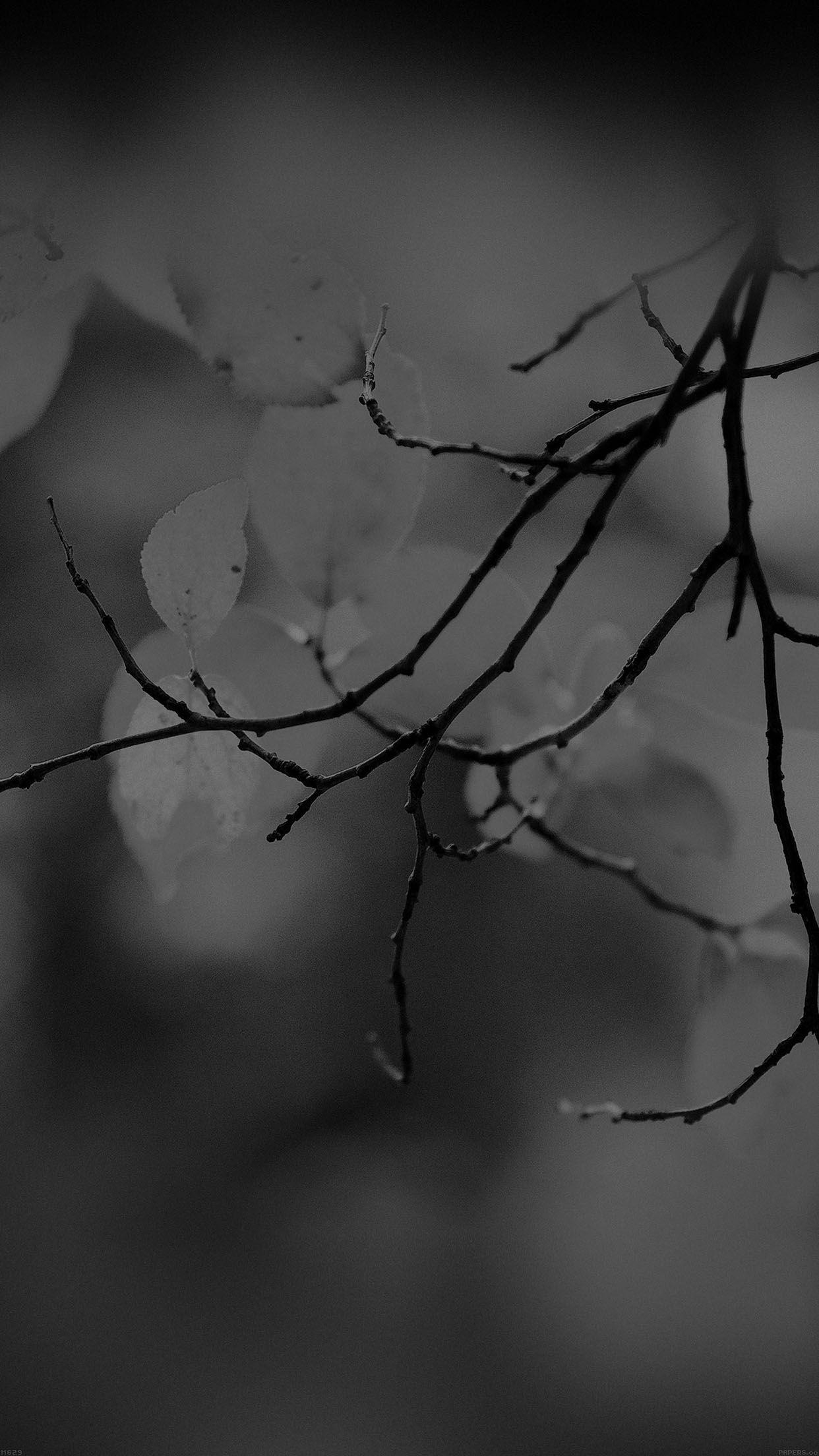 Dark Tree Wallpapers Top Free Dark Tree Backgrounds WallpaperAccess